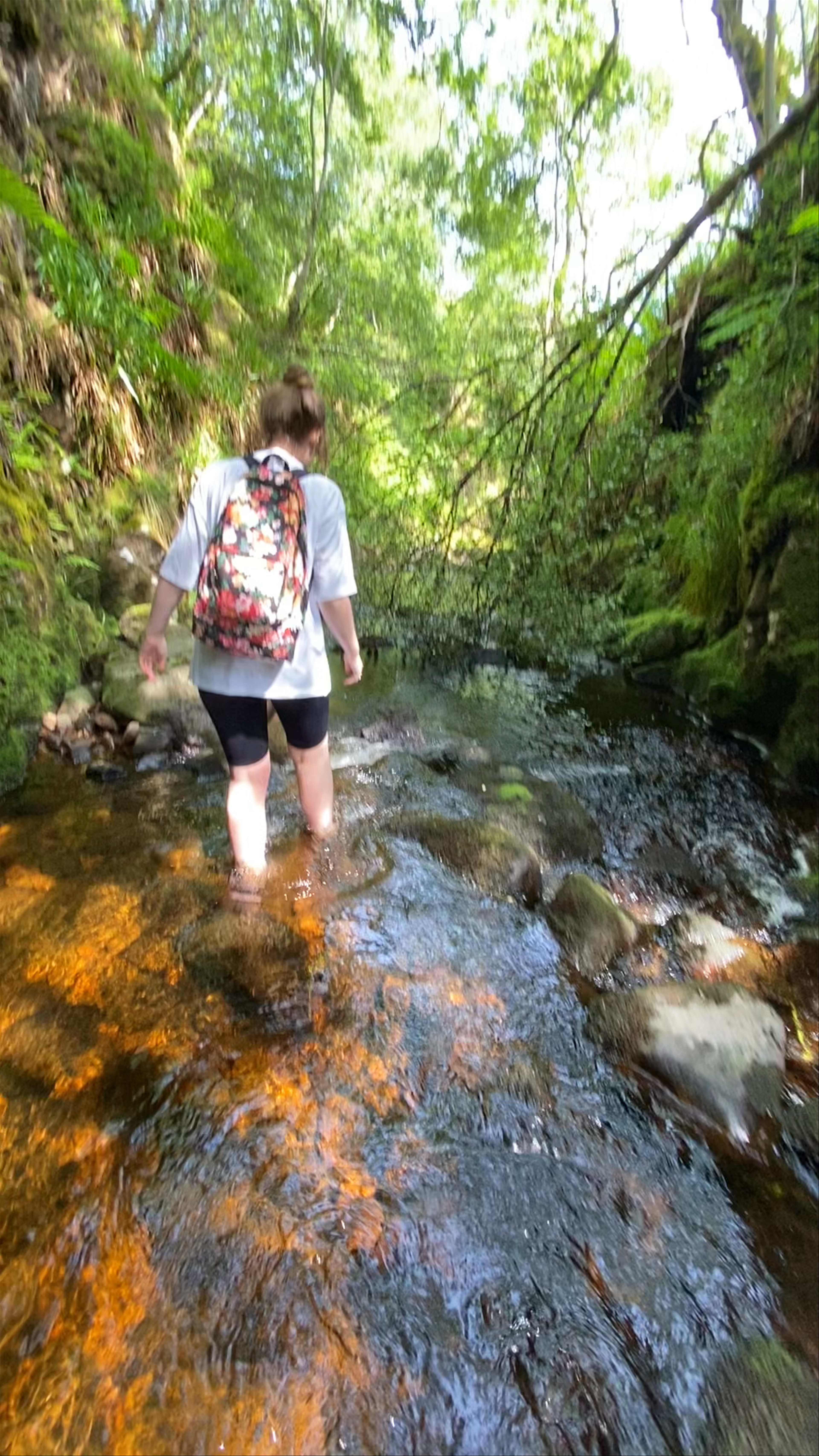 Linhope Spout Waterfall