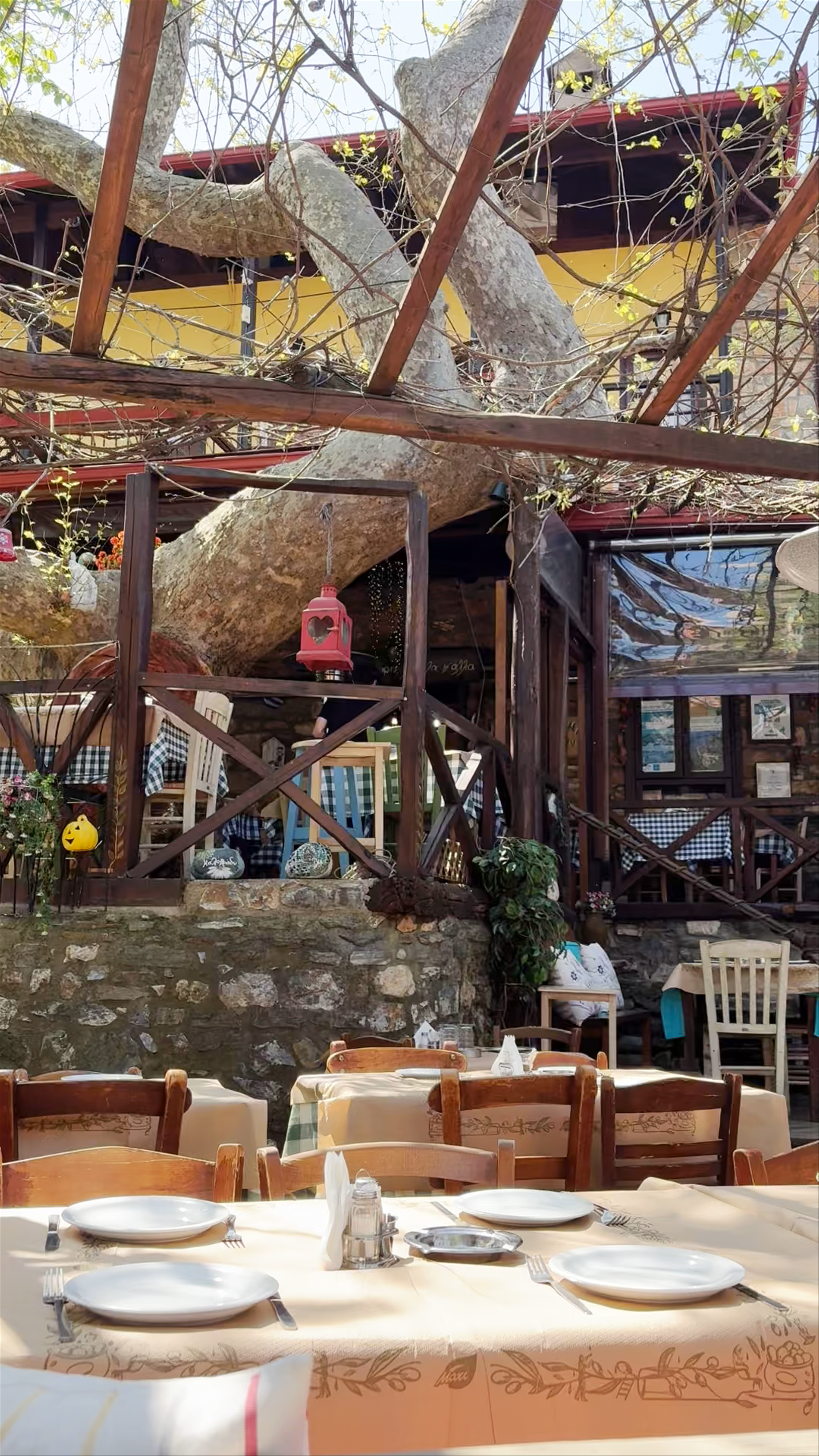 Experience Authentic Greek Tavern Dining at "ΤΟ ΠΕΤΡΙΝΟ" in Panteleimonas, Greece