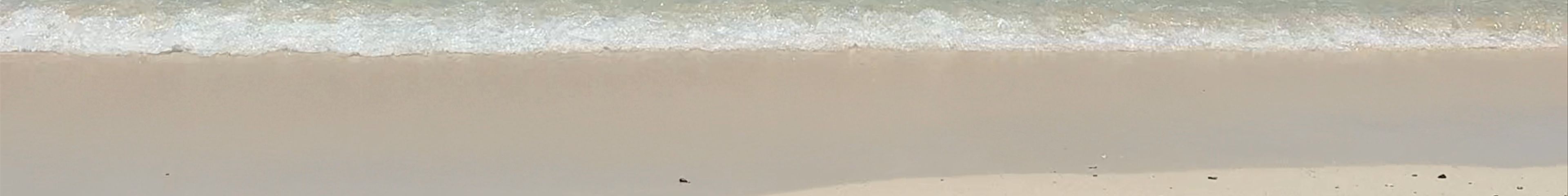 Tours & experiences in Curaçao