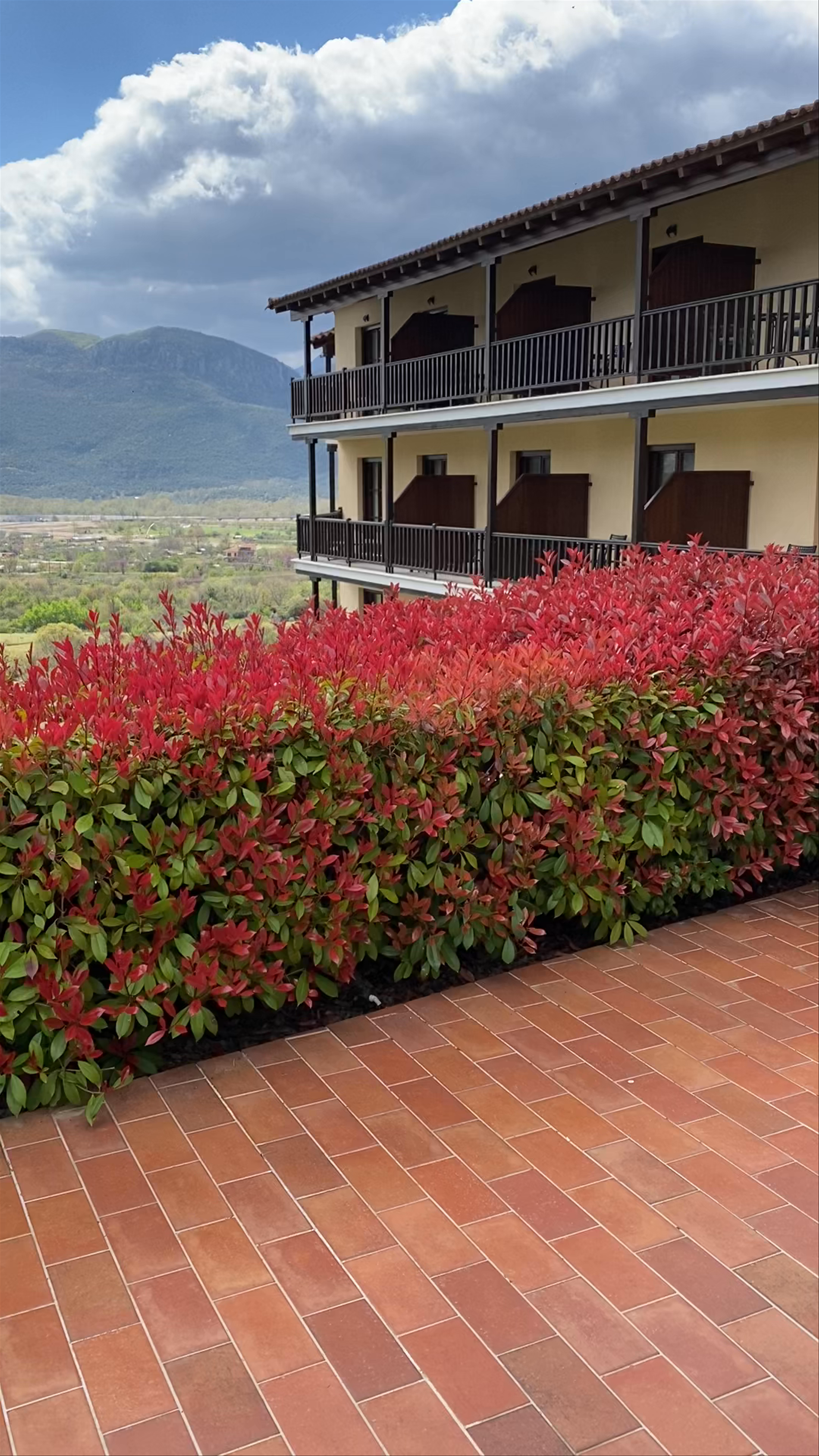 Meteora Hotel