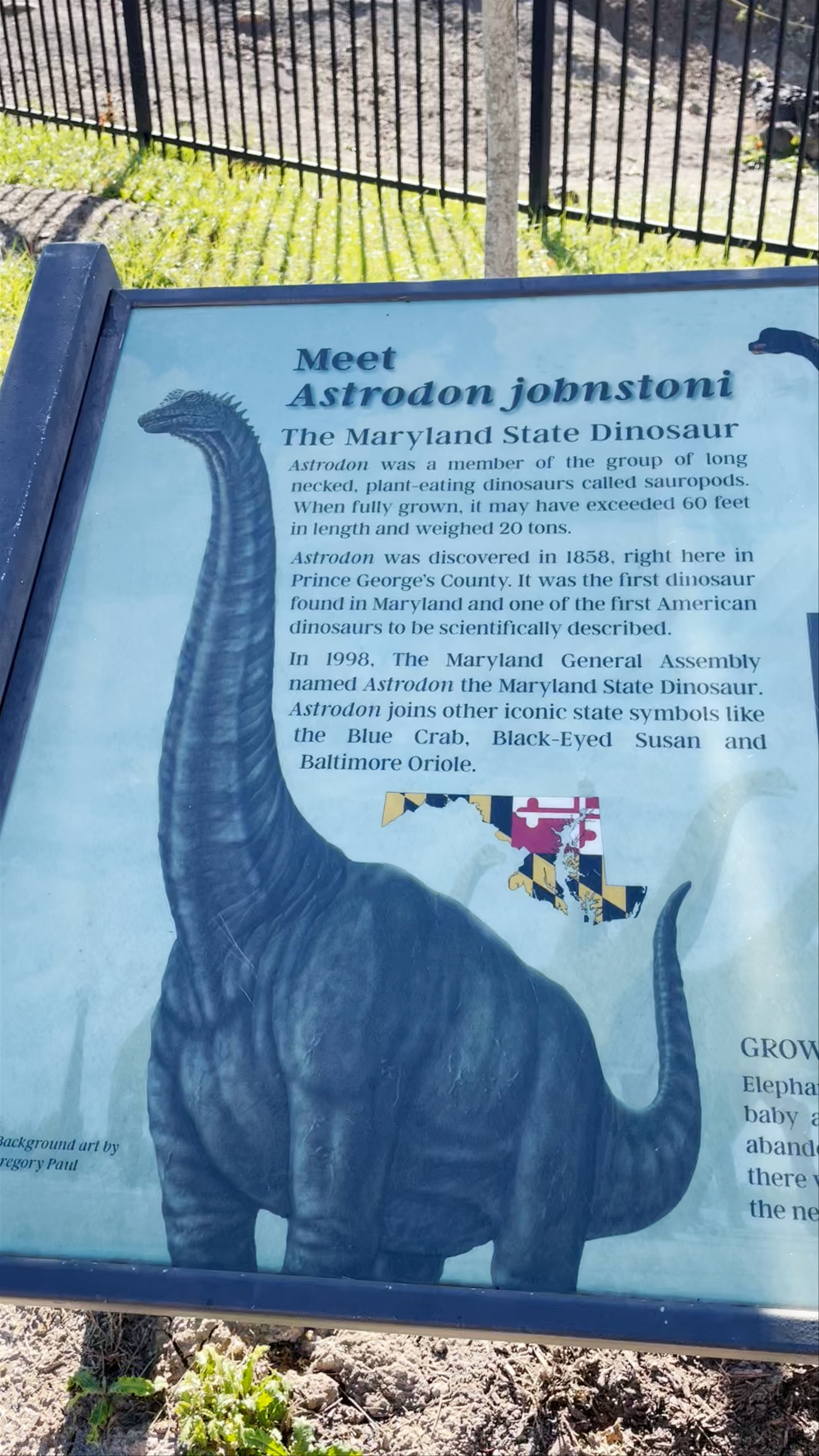 M-NCPPC Dinosaur Park
