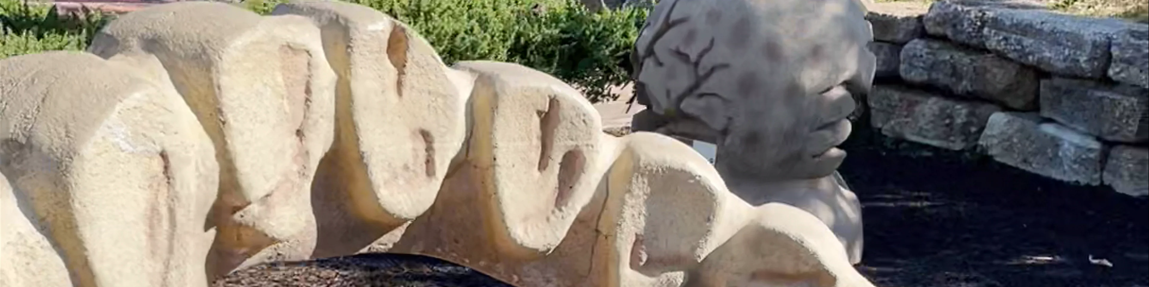 M-NCPPC Dinosaur Park