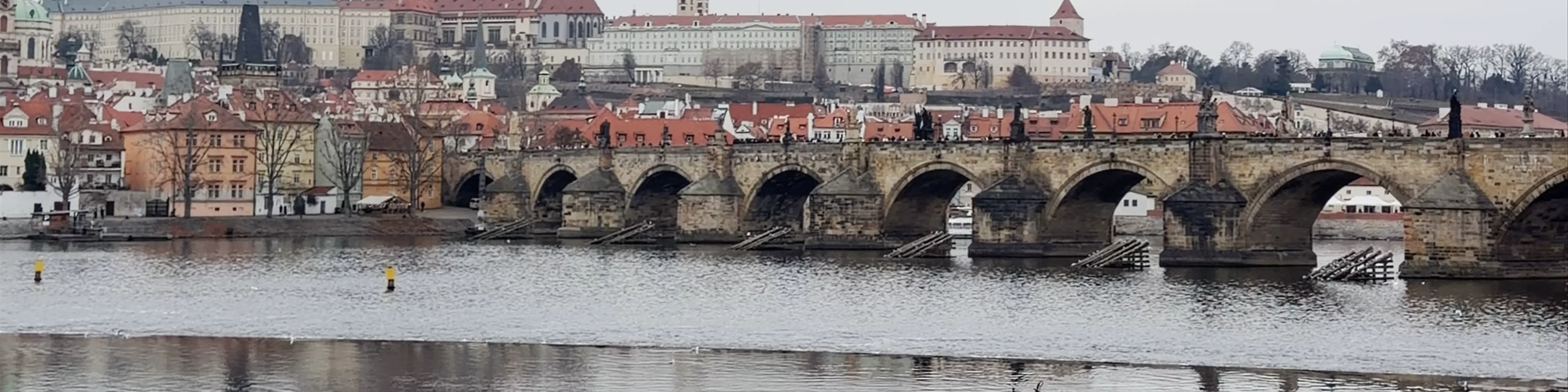 Rio Moldava