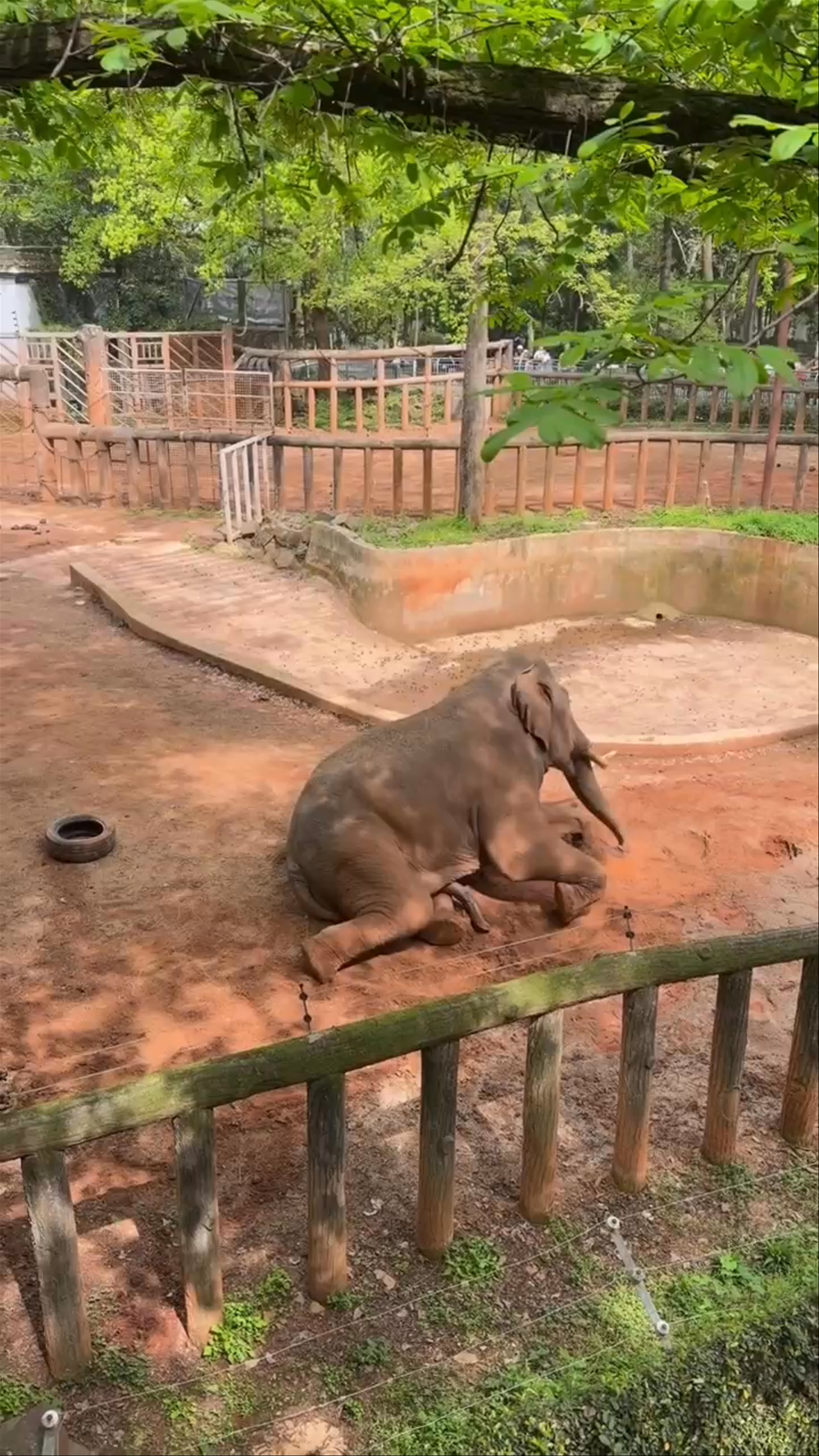Jinan Zoological Park