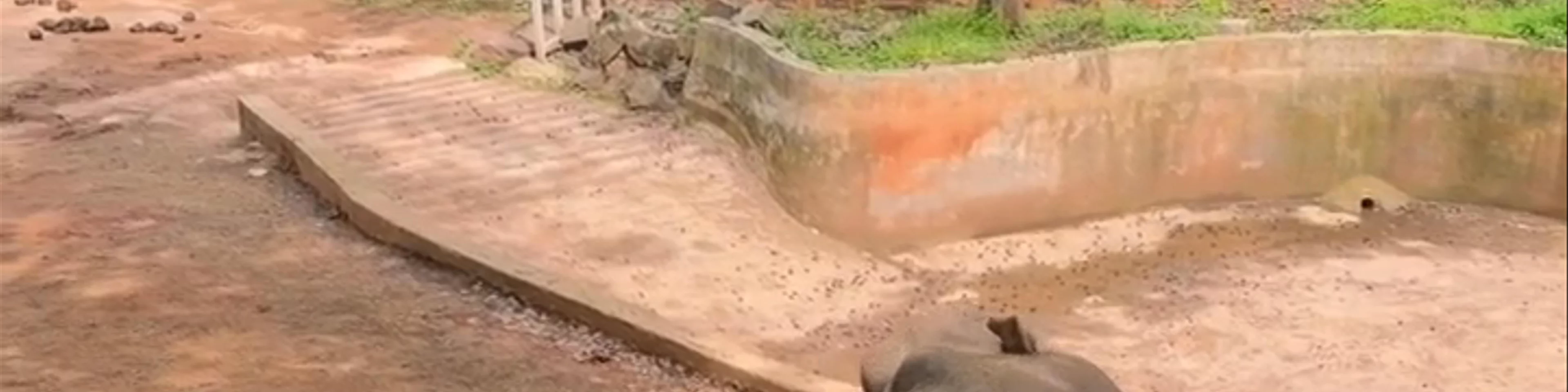 Jinan Zoological Park