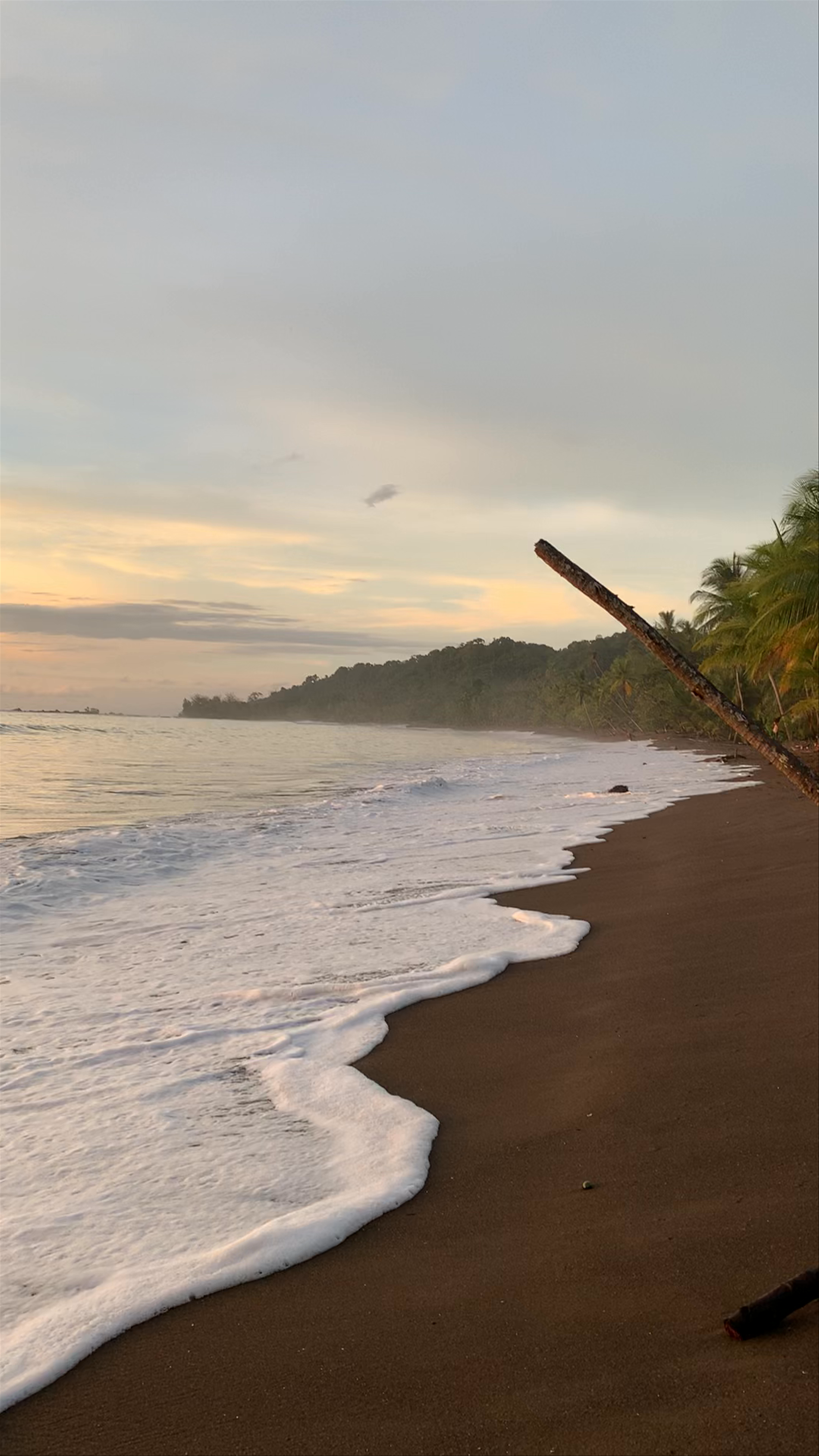 Rincón San Josecito