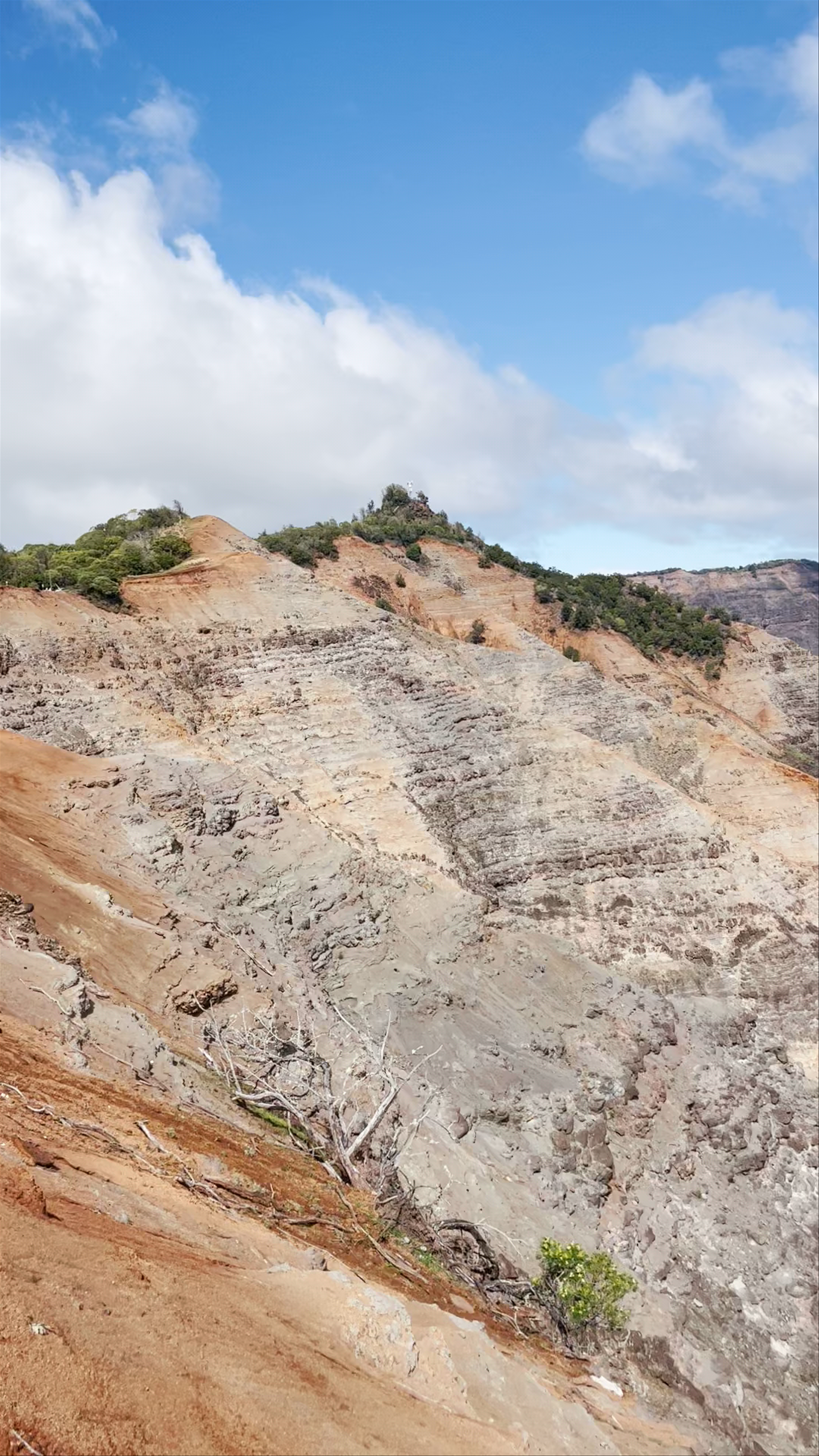 Waimea Canyon State Park