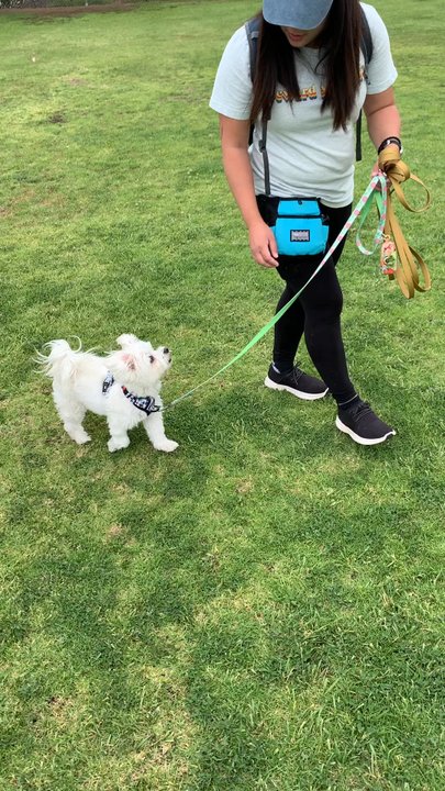 SunDog Therapy - Training with Karen at the park. - Occupational Therapy Near Me