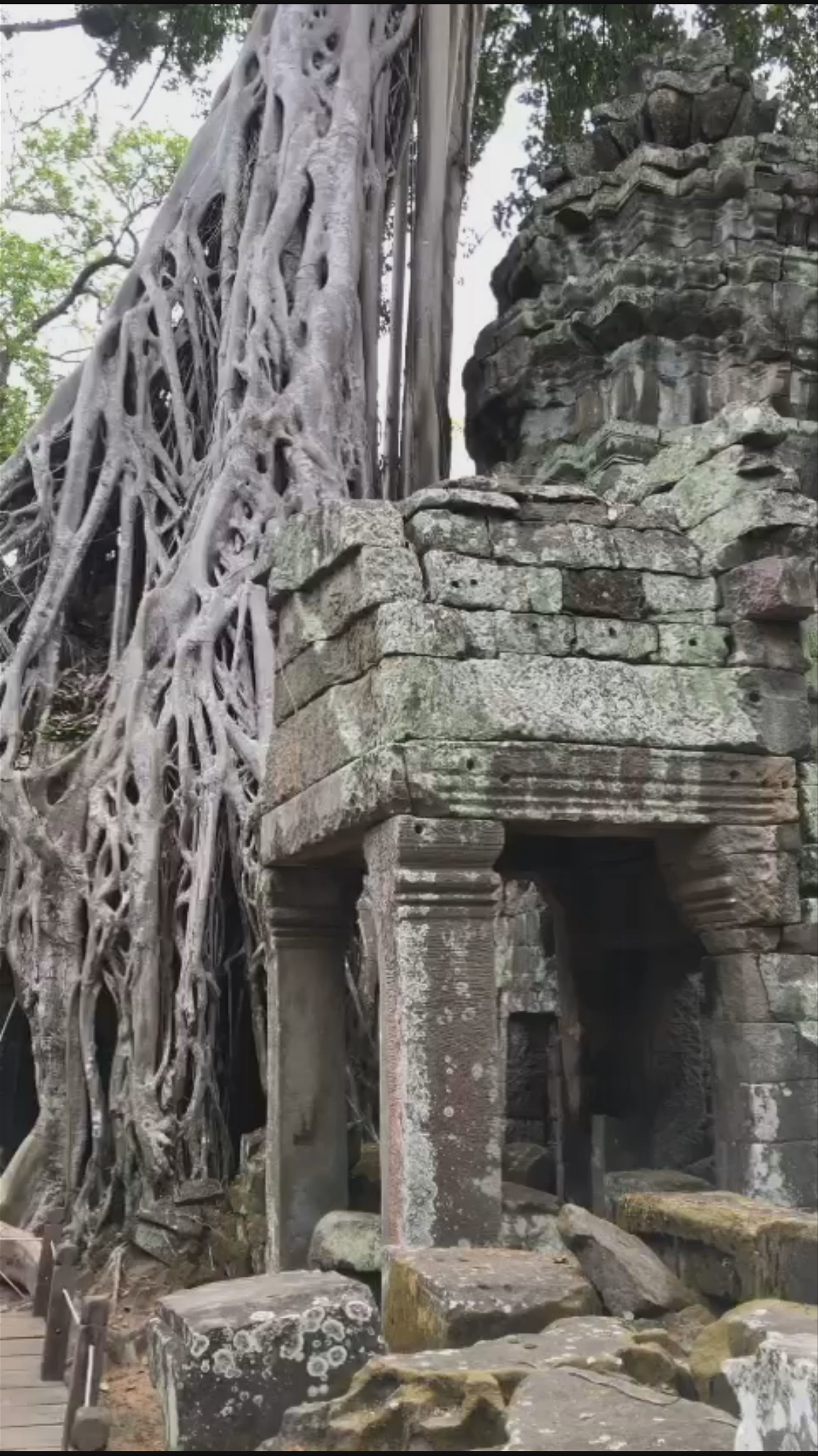 Ta Prohm