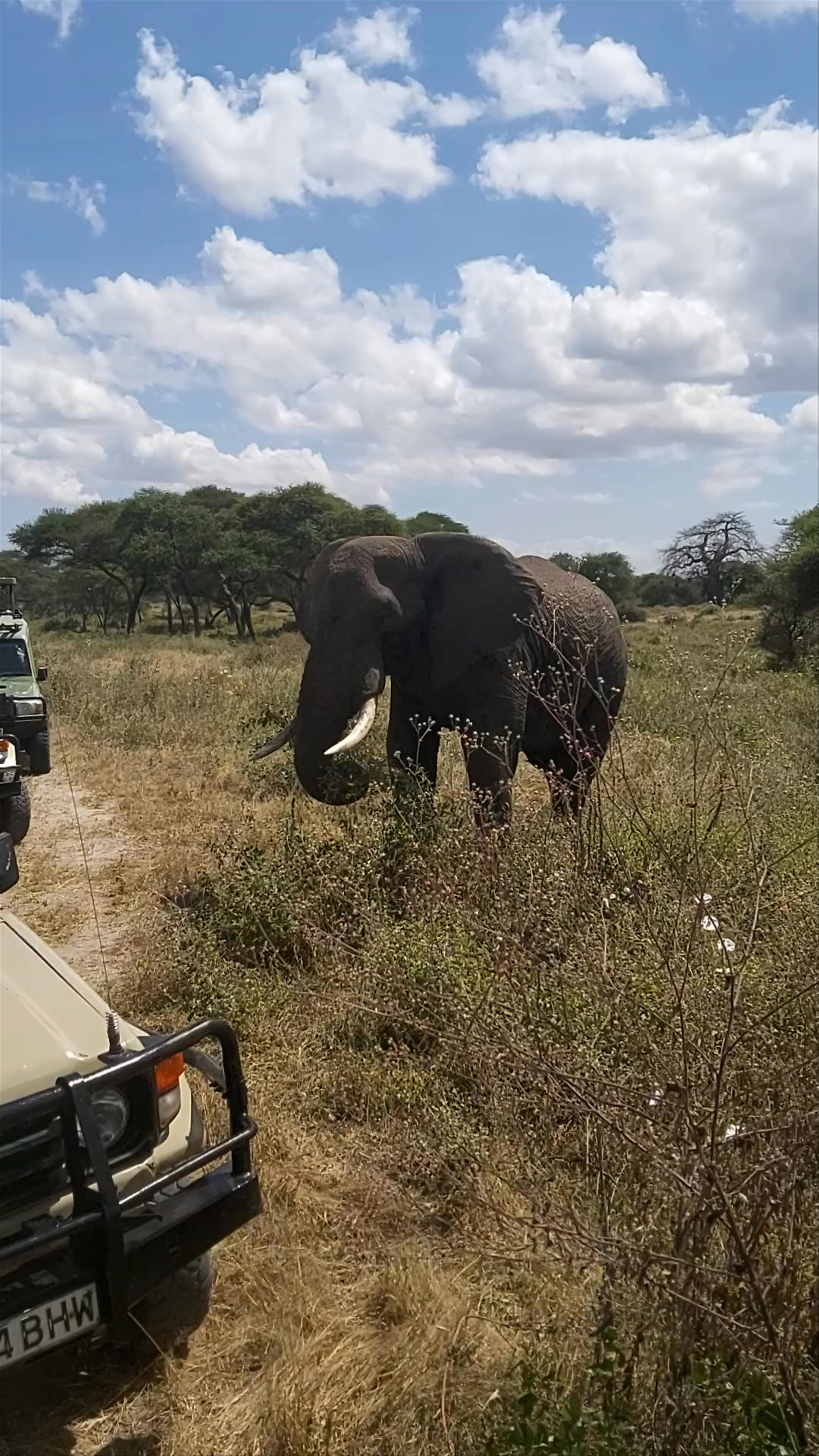Tarangire National Park