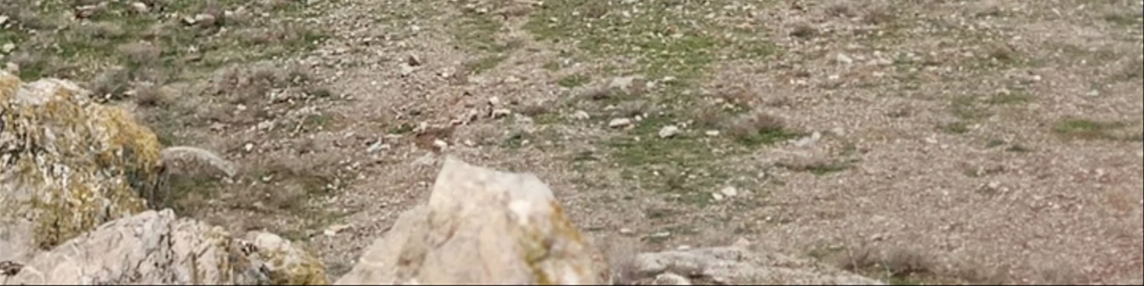 Khor Virap Monastery