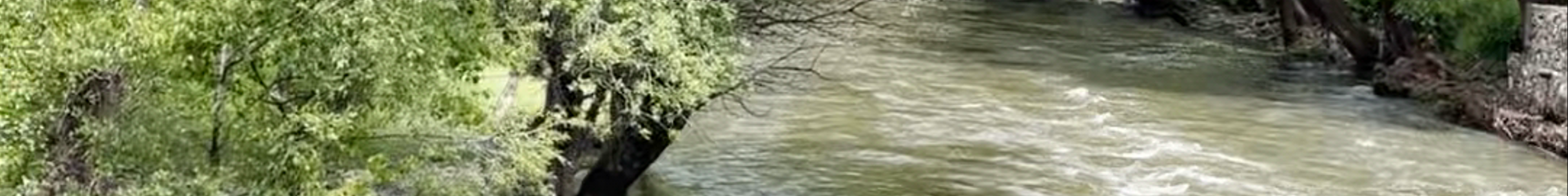 Tours & experiences in Khertvisi