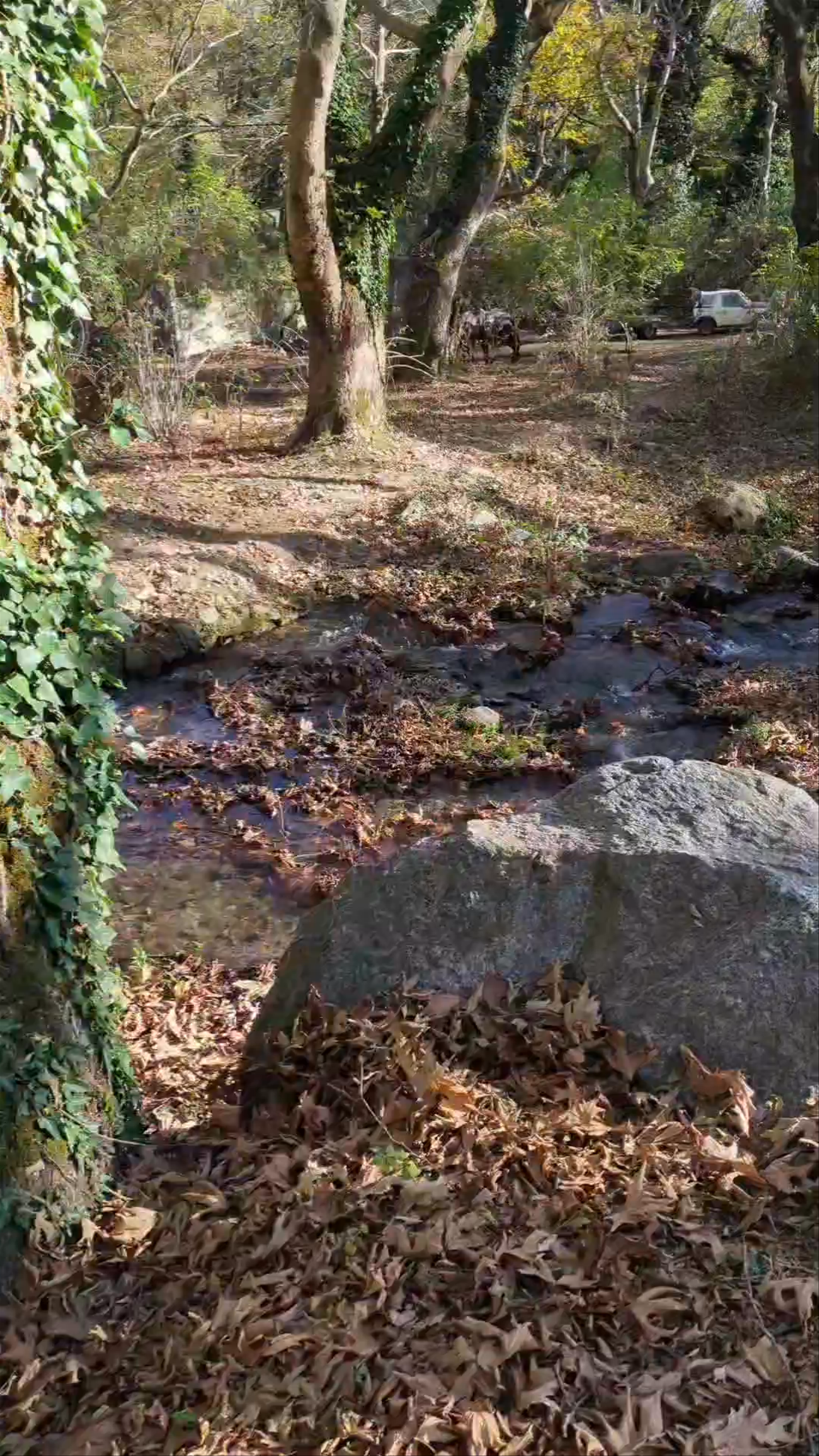 Νίκος Βαρκάς - Περιήγηση με άλογα
