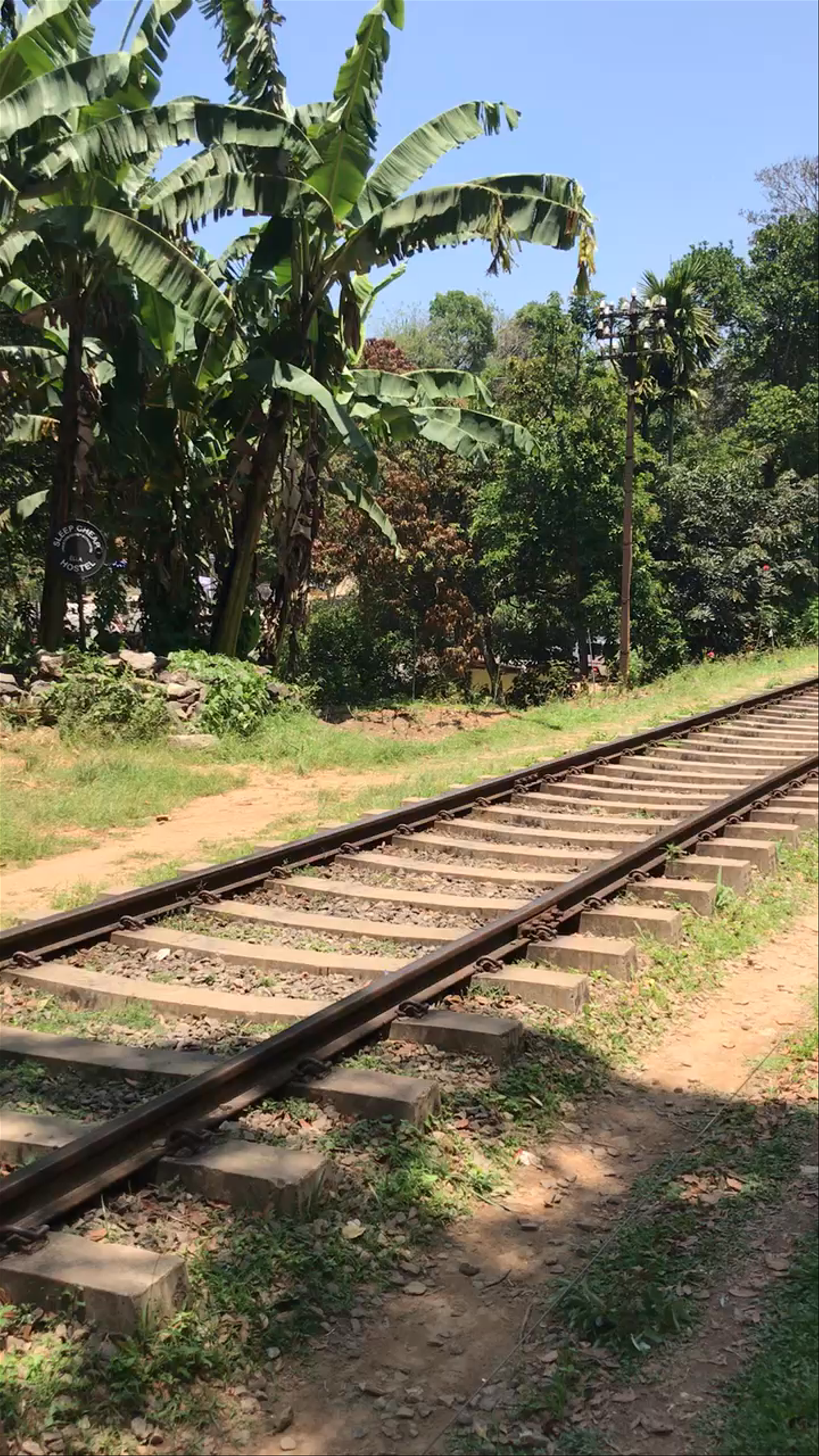 Scenic Train Journey Through Lush Ella, Sri Lanka