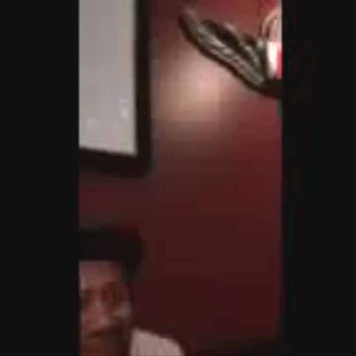 Just Wing It - Video of the roach crawling on the wall - New American Near Me - Bakersfield, California