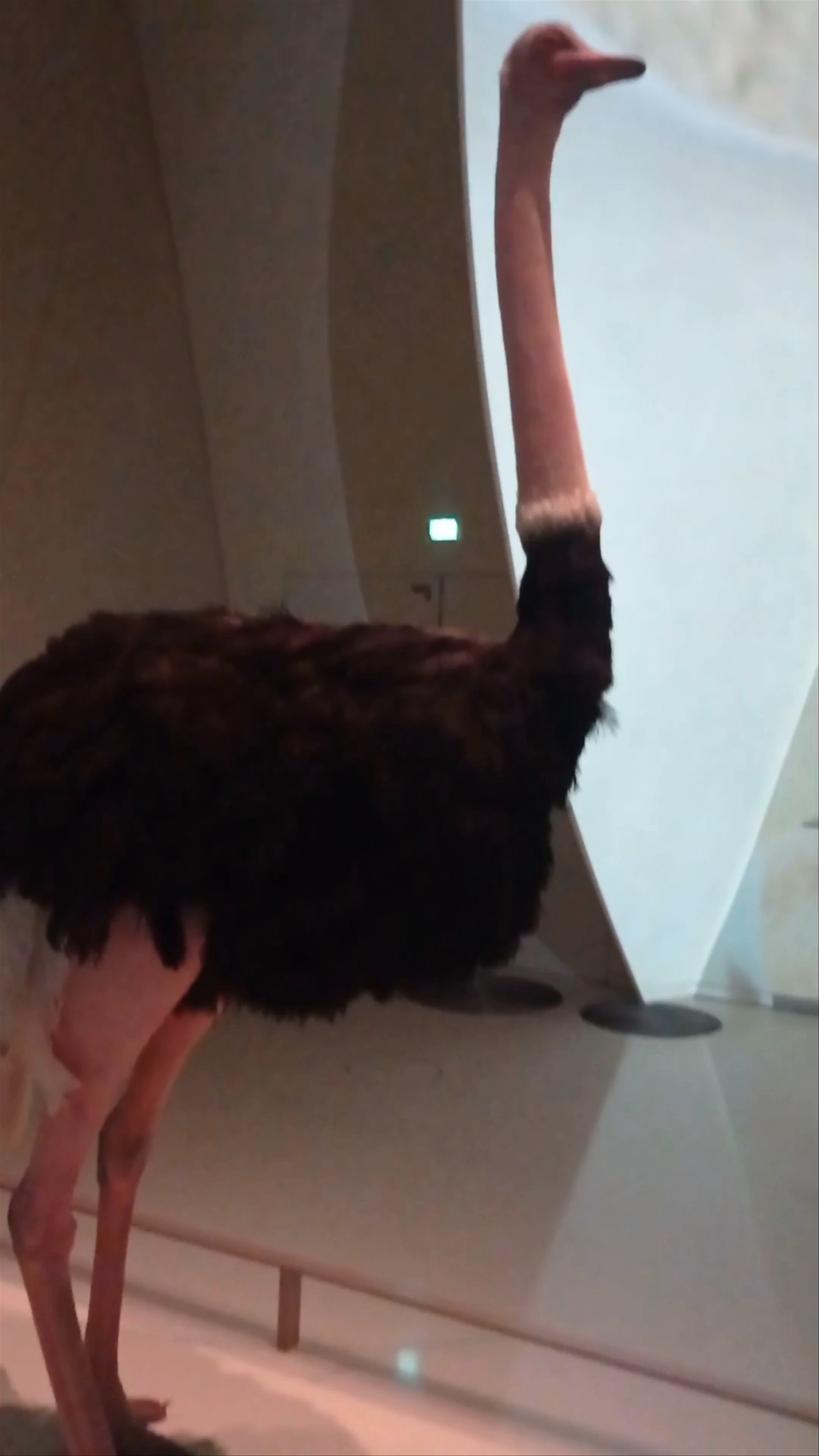 National Museum of Qatar