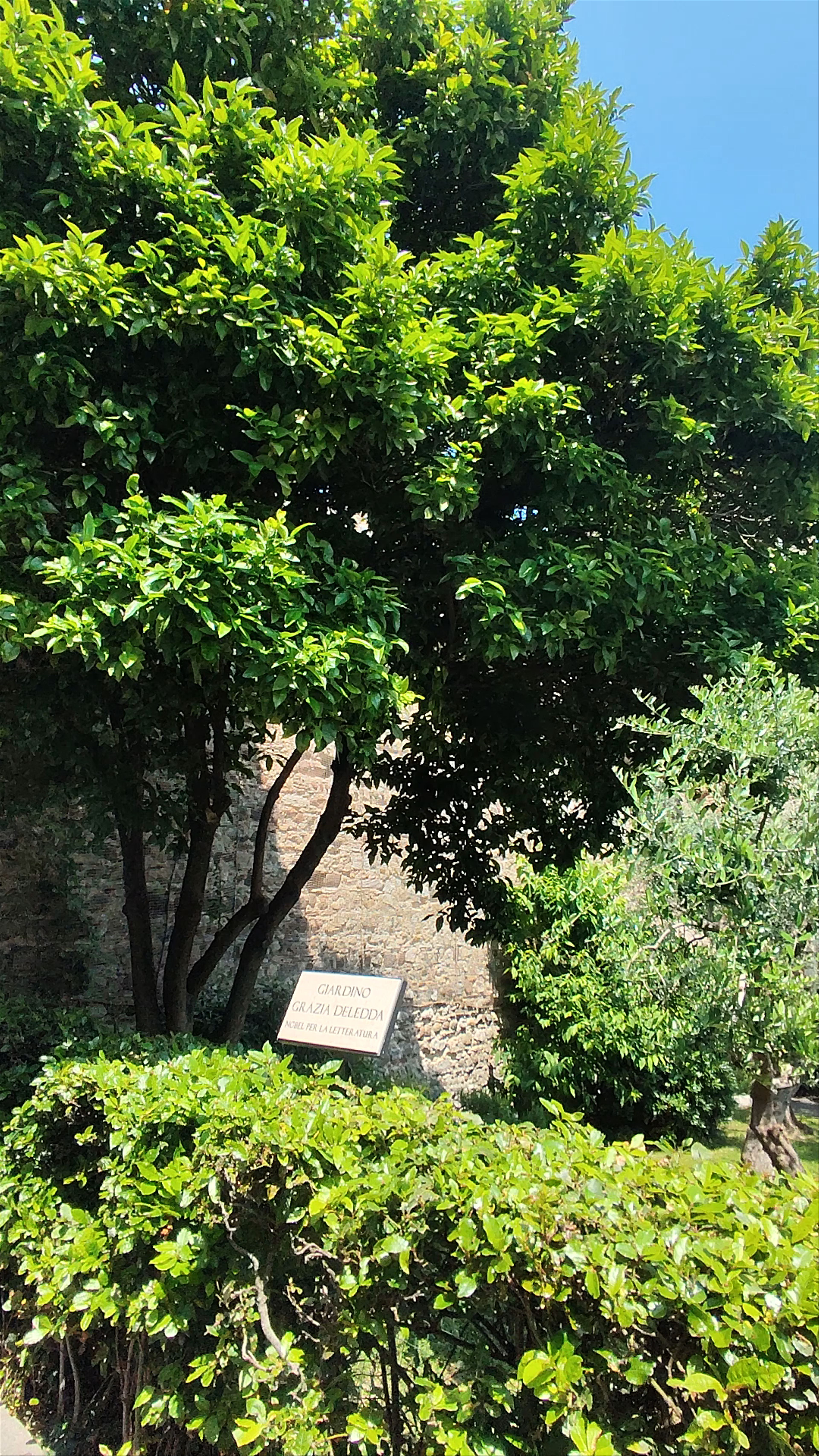 Giardino Grazia Deledda