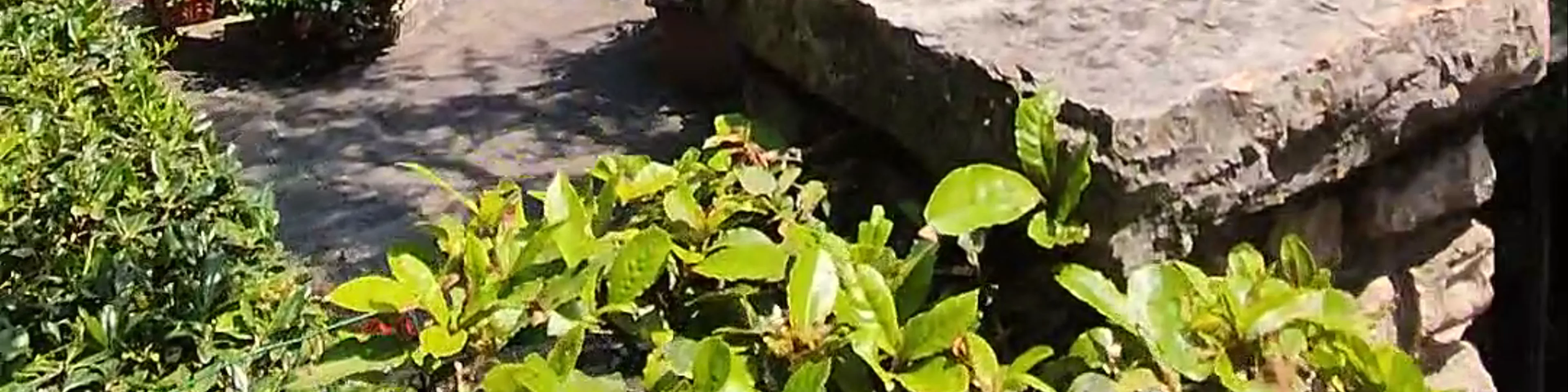 Giardino Grazia Deledda