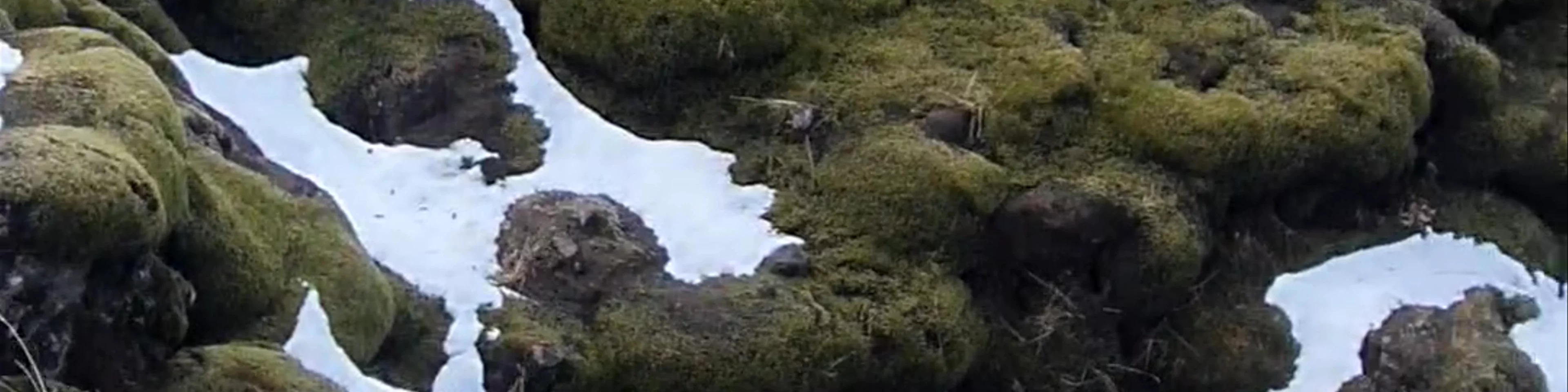 Gönguleið um Eldhraun