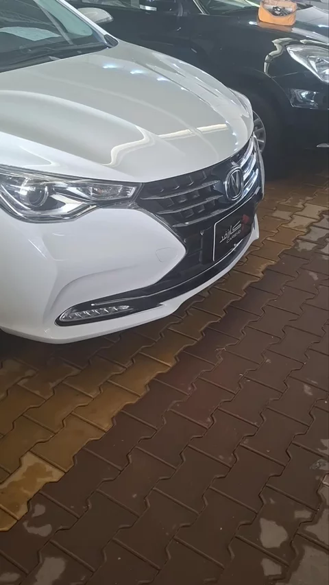 شانجان السفن Full Option 2025