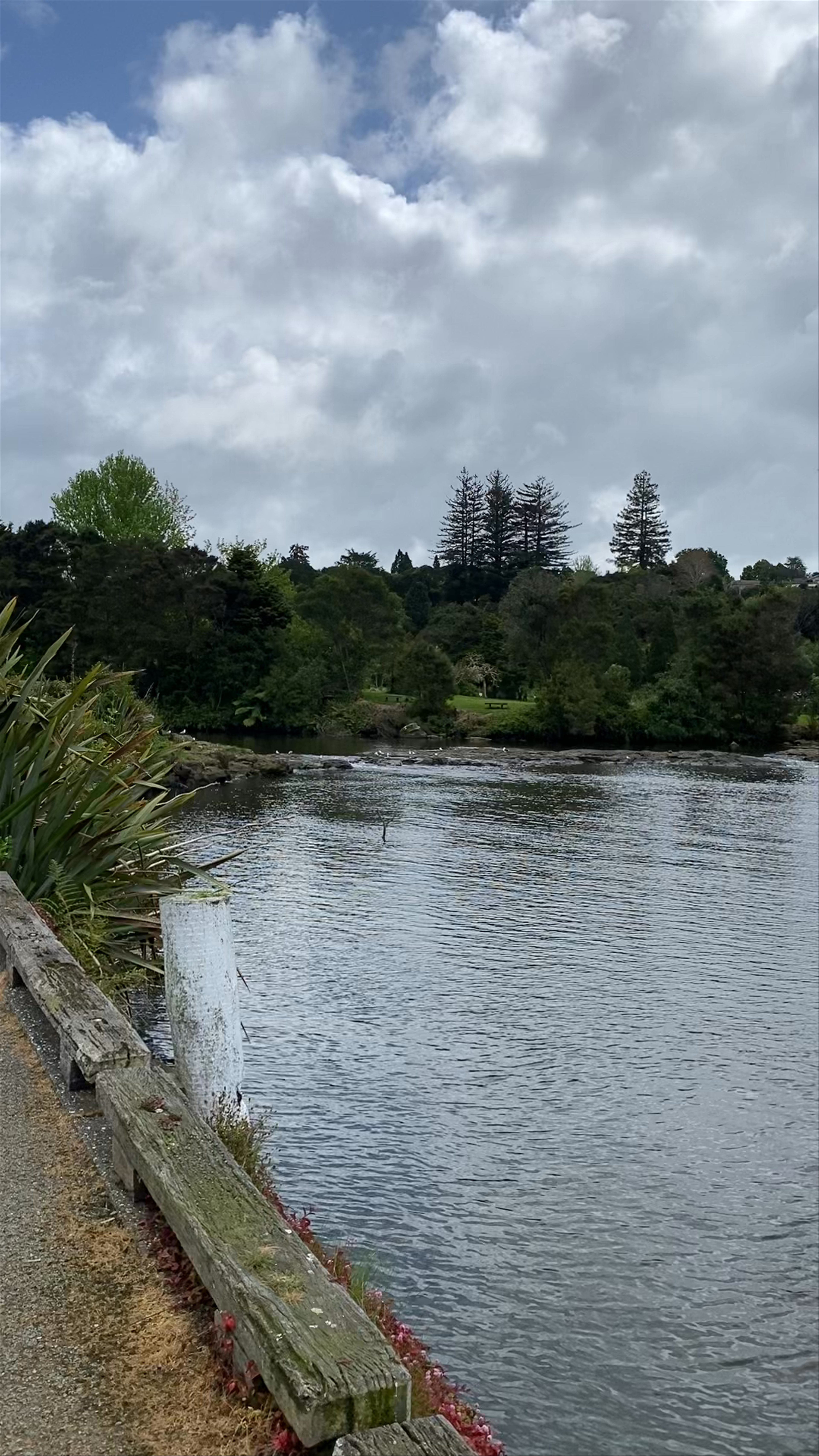 Kerikeri five waterfalls Kerikeri Road