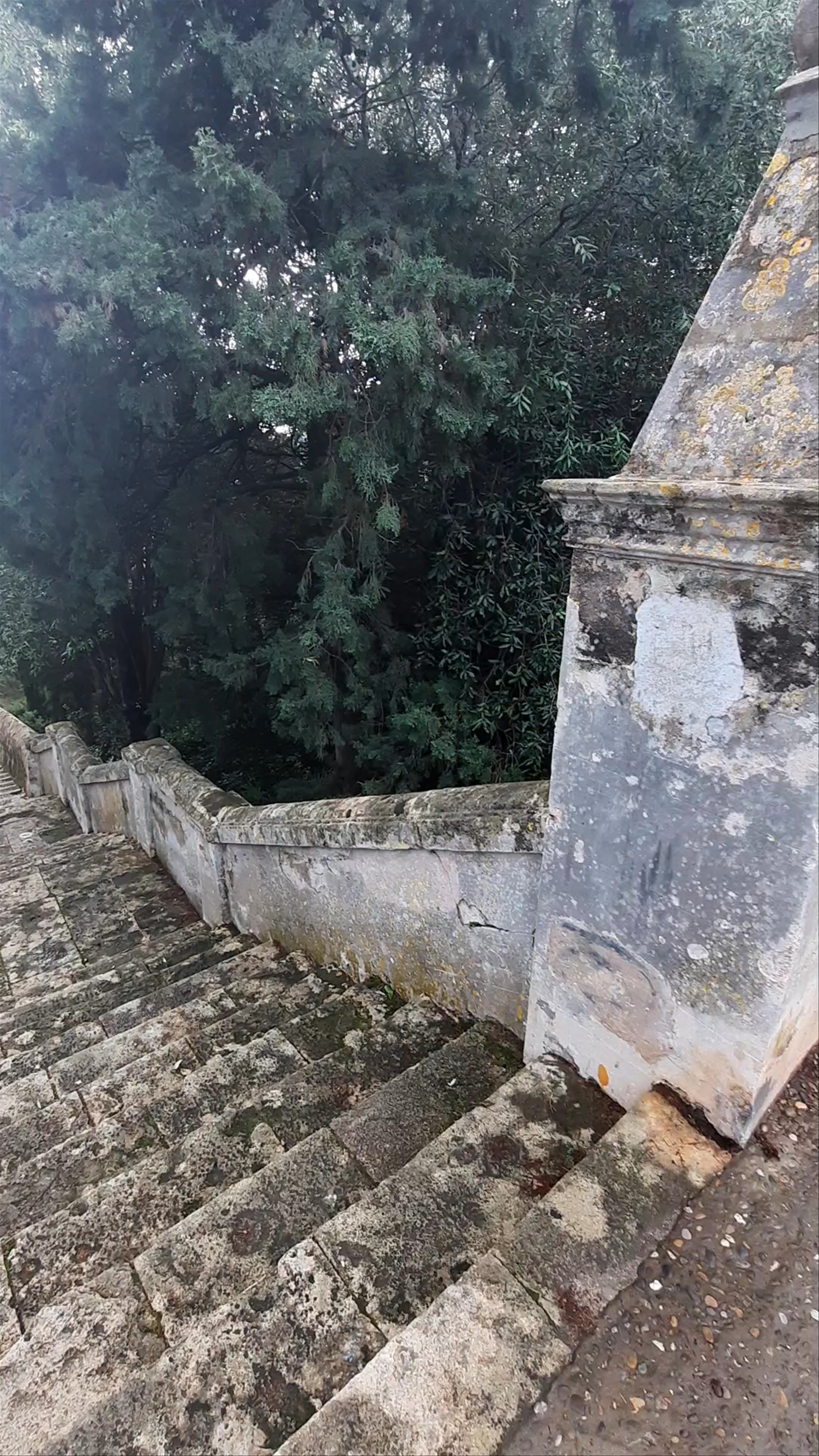 Ancient Stone Stairway Immersed in Greenery in Pollença, Spain