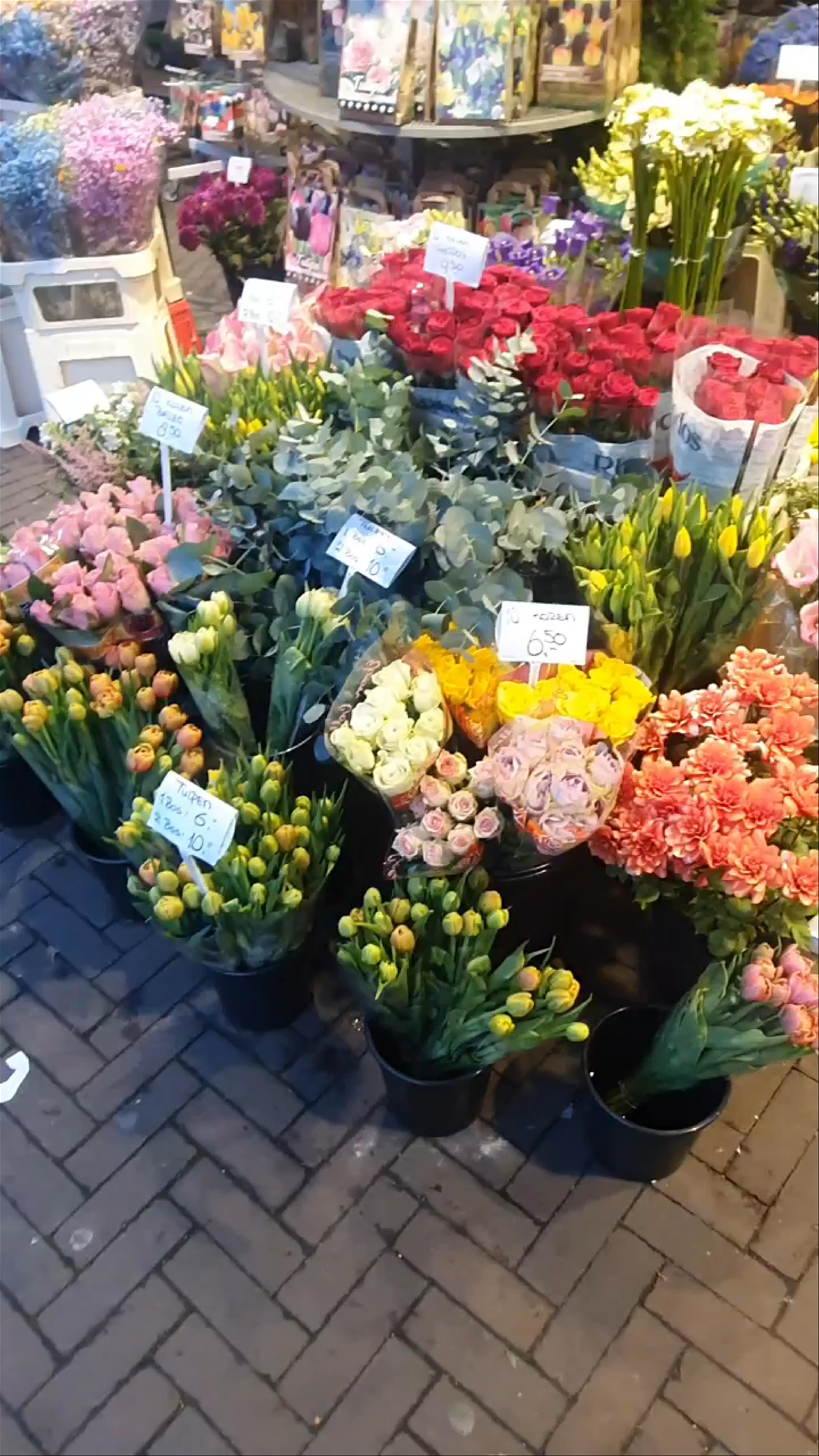 Bloemenmarkt Amsterdam: The Floating Flower Market Experience