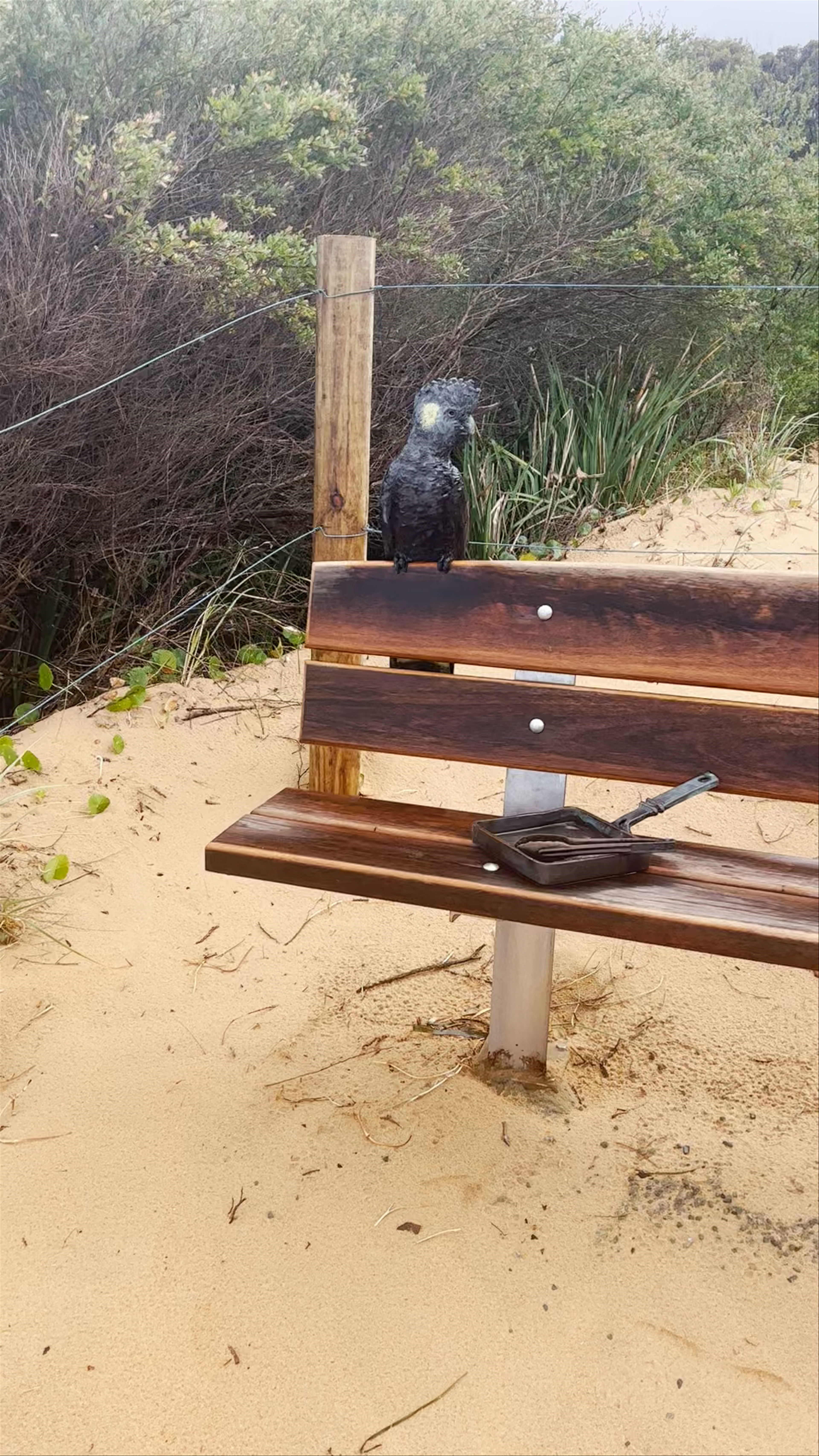 Bouddi coastal walk