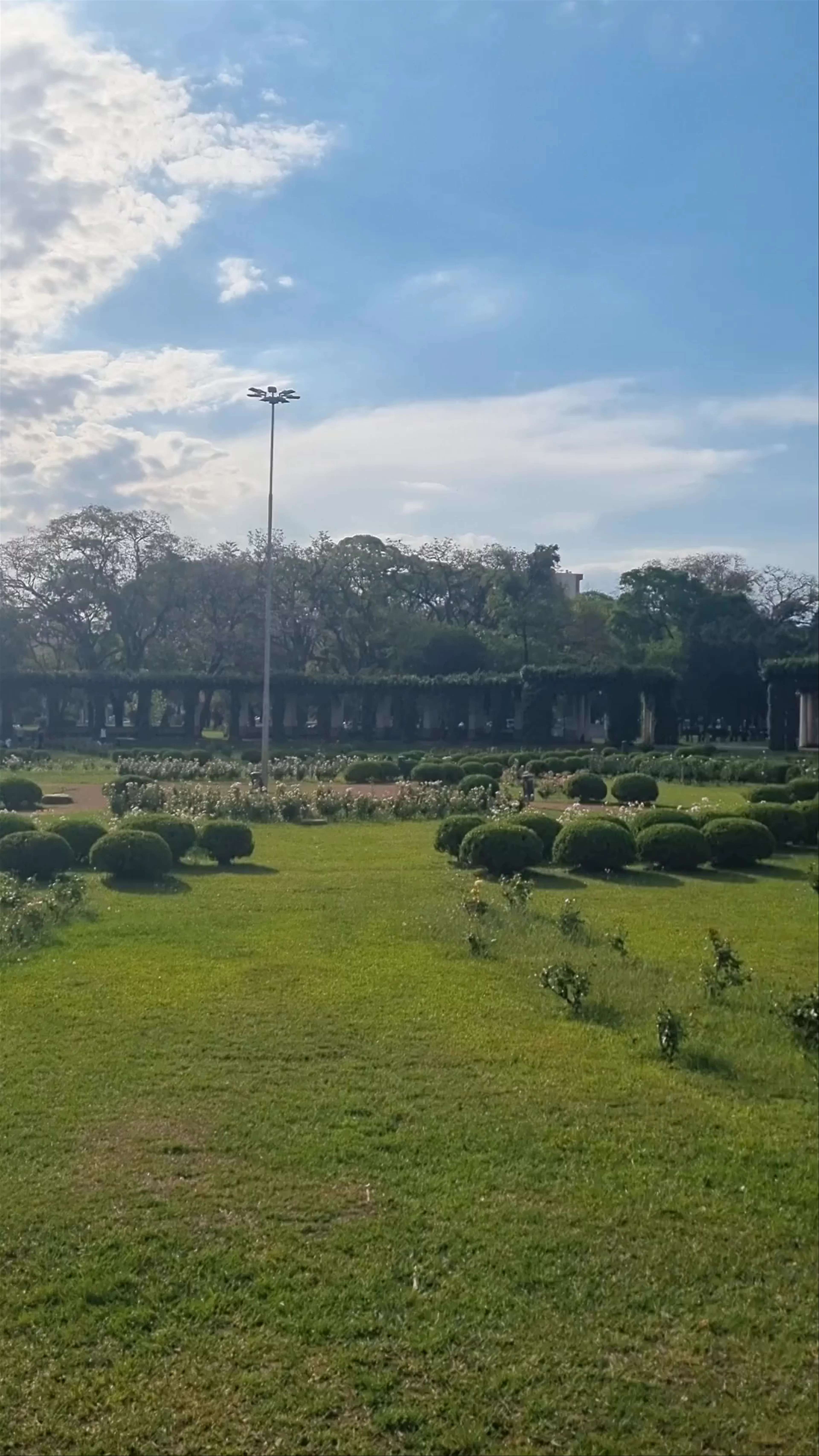 El Rosedal