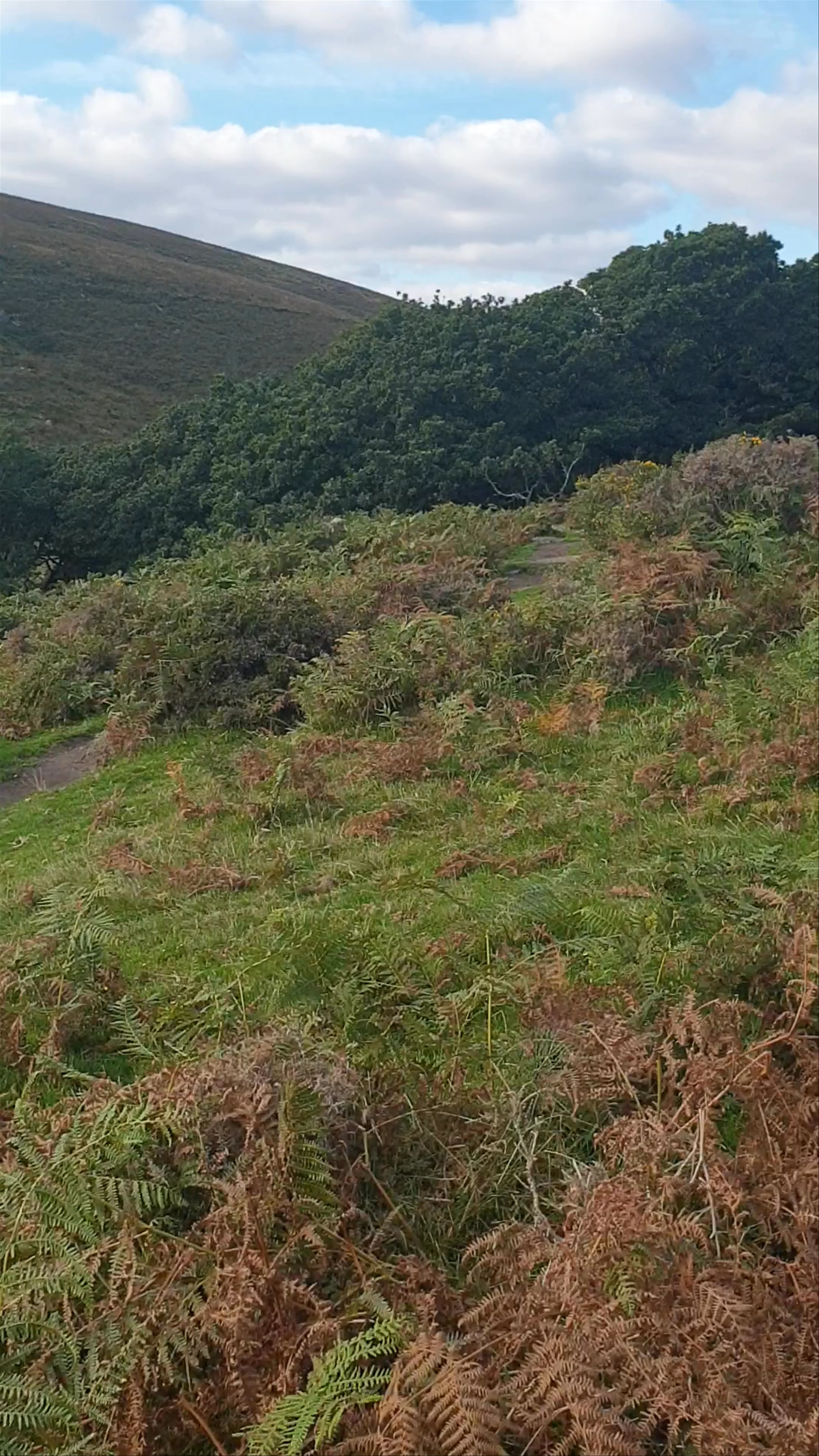 Two Bridges Road