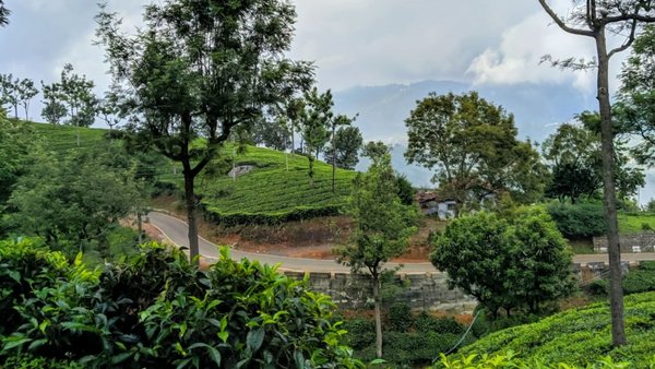 Photo of The Land Of Beauty -