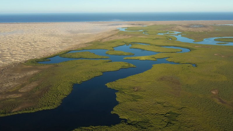 River Delta in Baja, Mexico poster