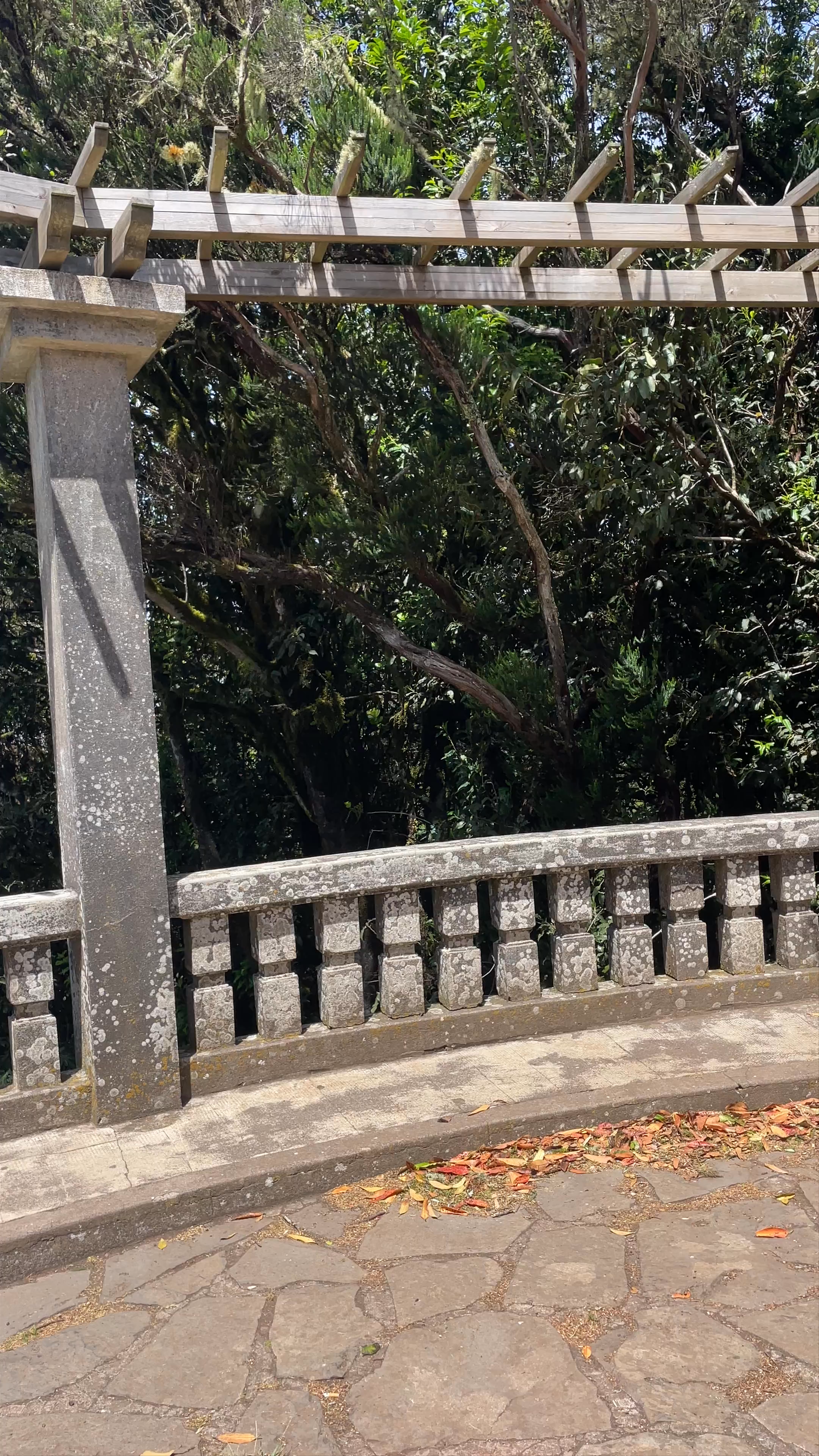 Mirador Cruz del Carmen: Scenic Escape in San Cristóbal de La Laguna