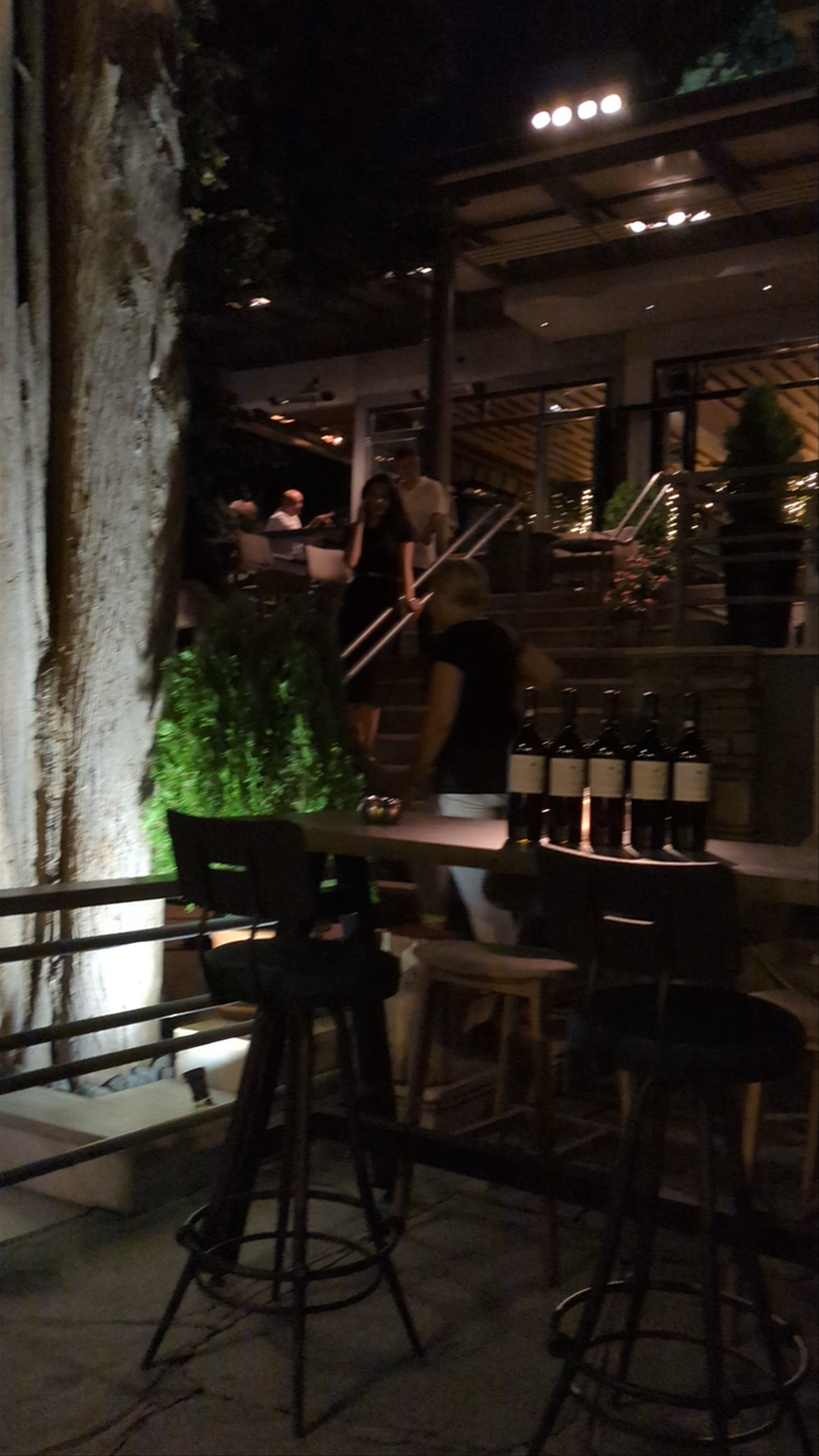 CEDAR - Night Vibes on Kedrinos Lofos, Thessaloniki