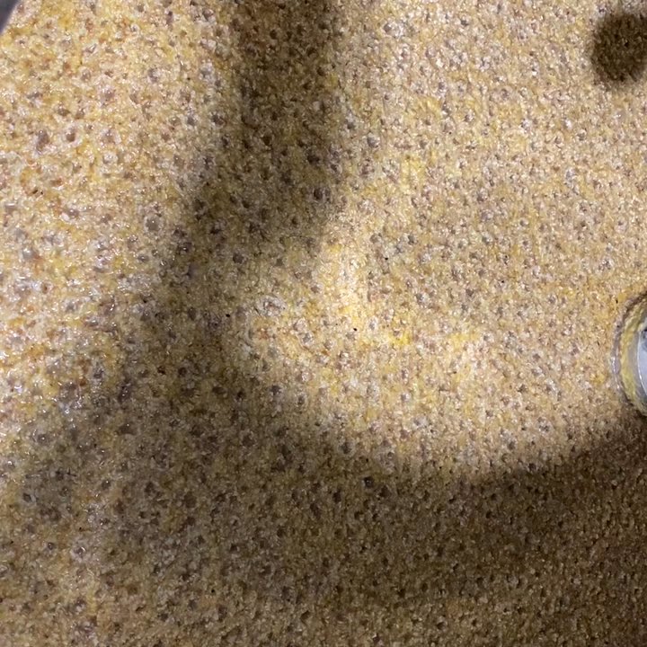 Loaded Cannon Distillery - Corn fermenting, soon to be vodka or hand sanitizer! - Distilleries Near Me - Bradenton, Florida