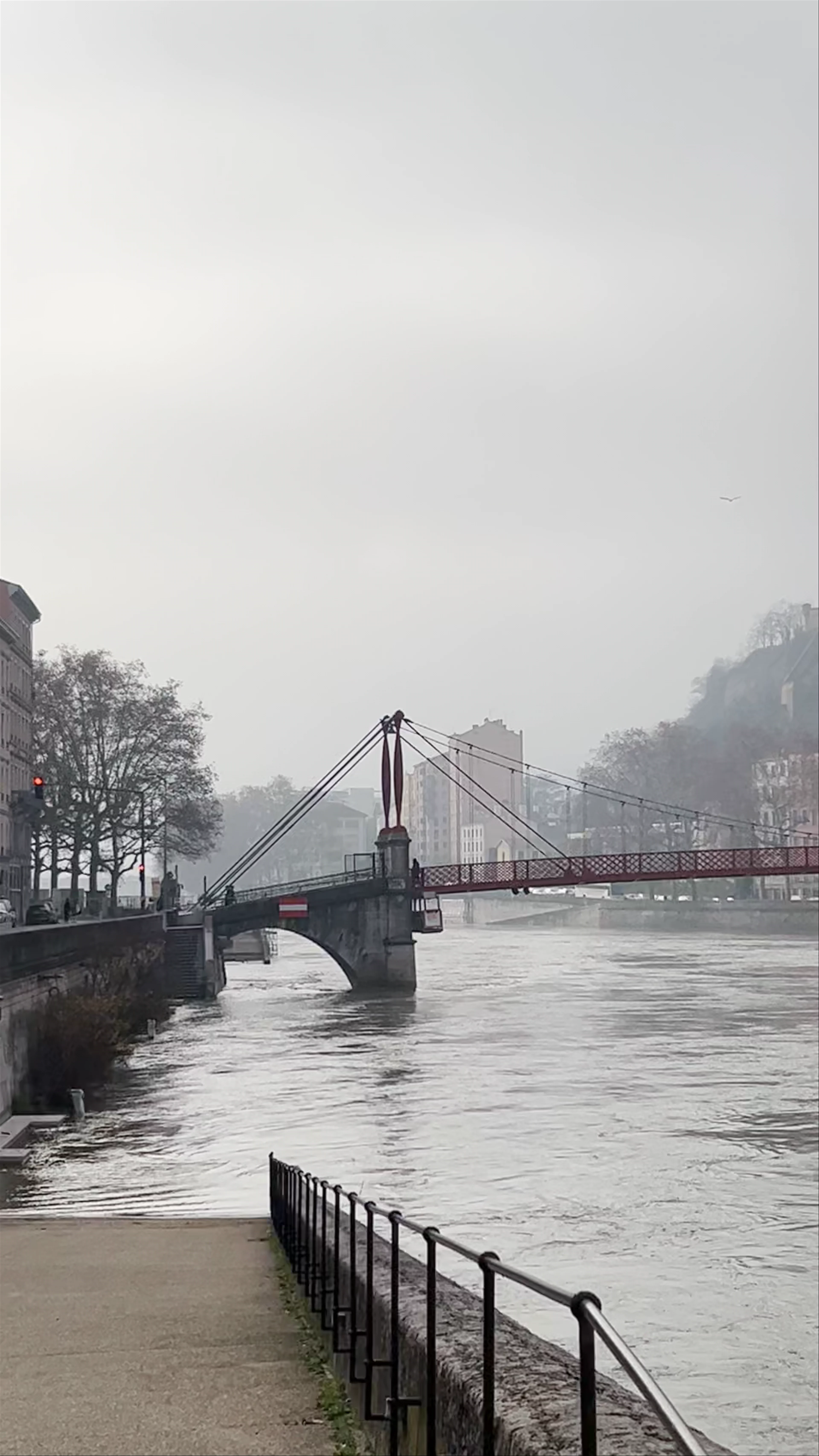 Passerelle du Palais-de-Justice, Passerelle du Palais de Justice, Lyon, France