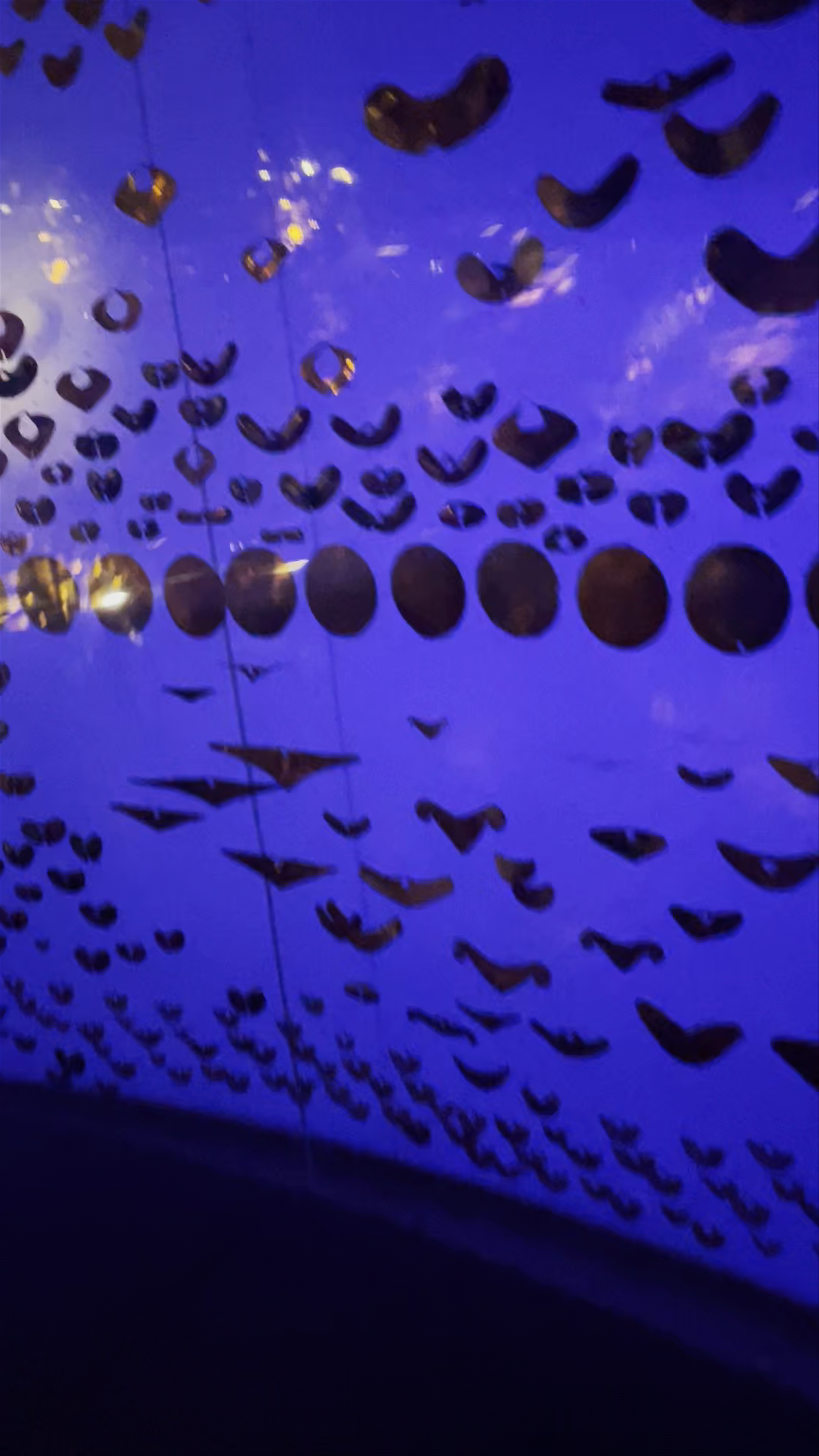 Museo del Oro