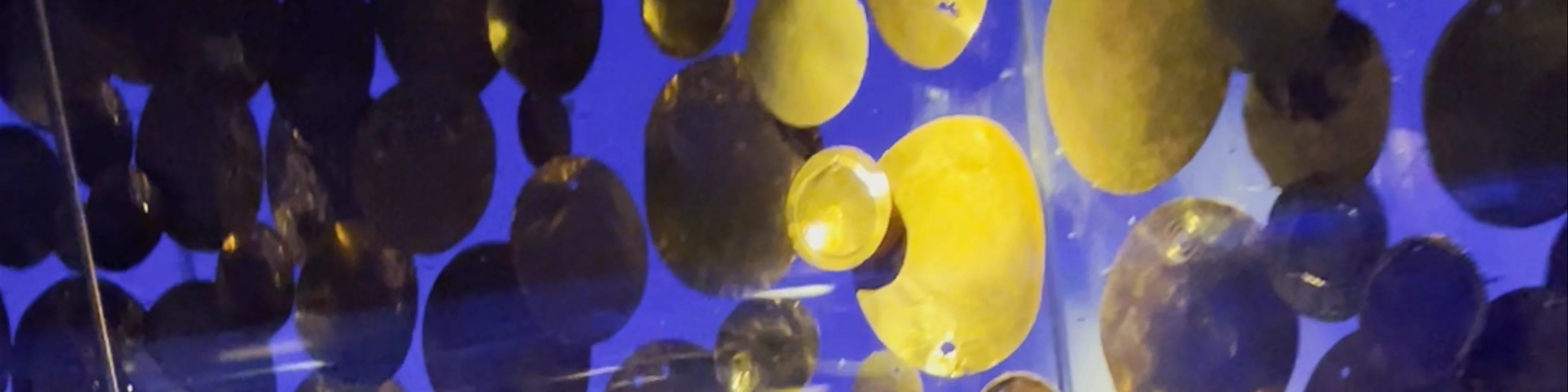 Museo del Oro