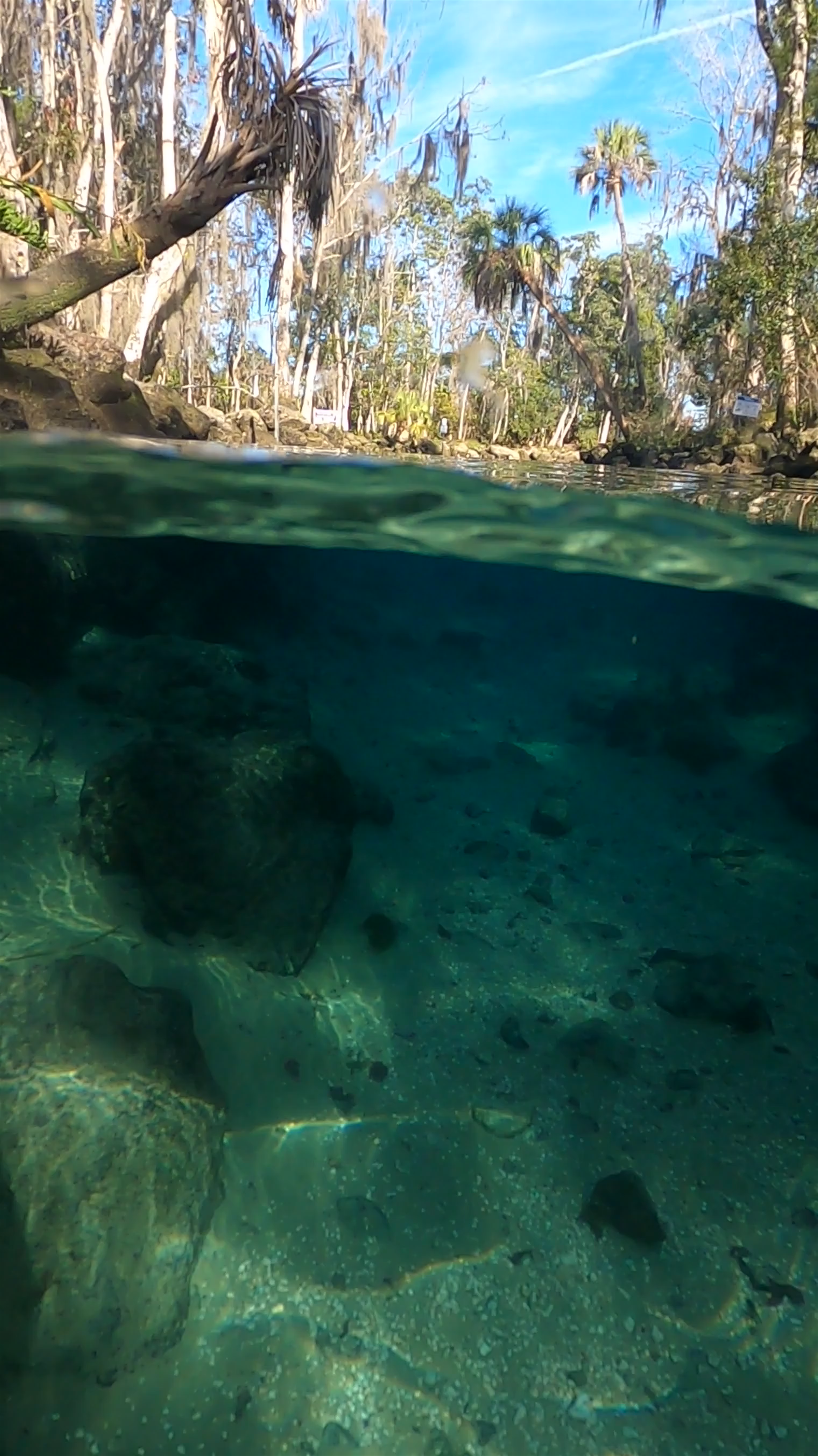 Three Sisters Springs