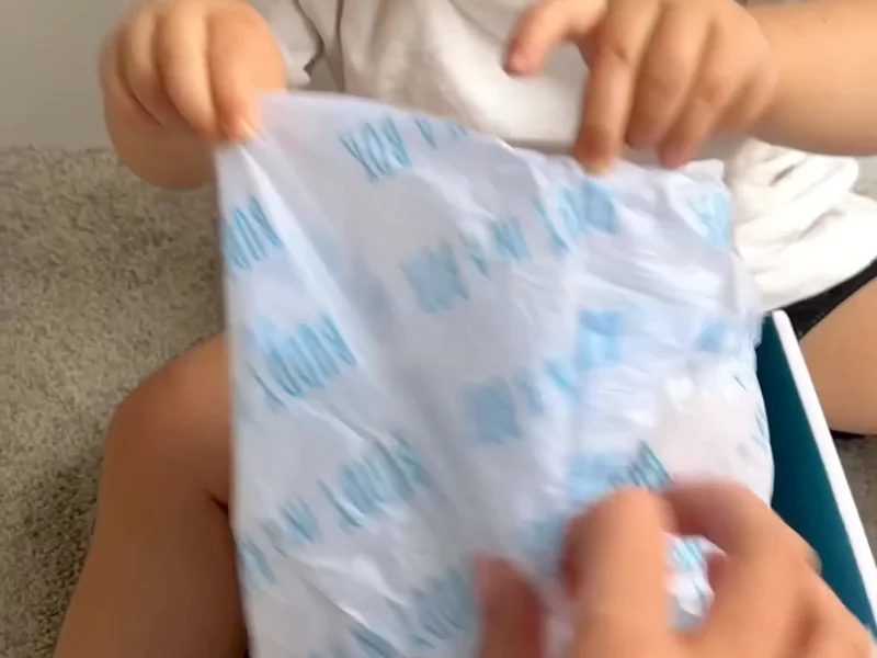 Buddy in a box
