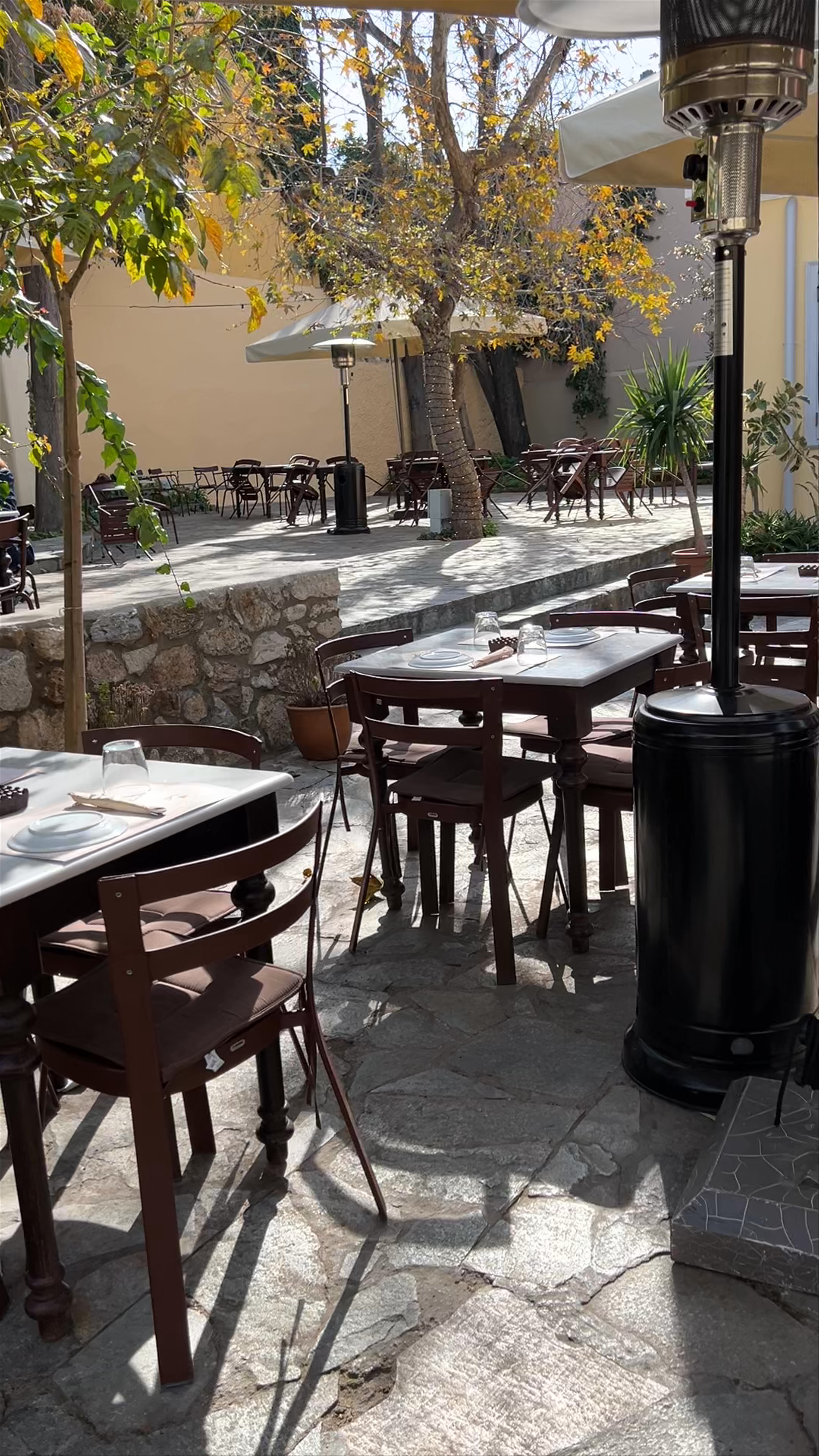 Taverna Platanos