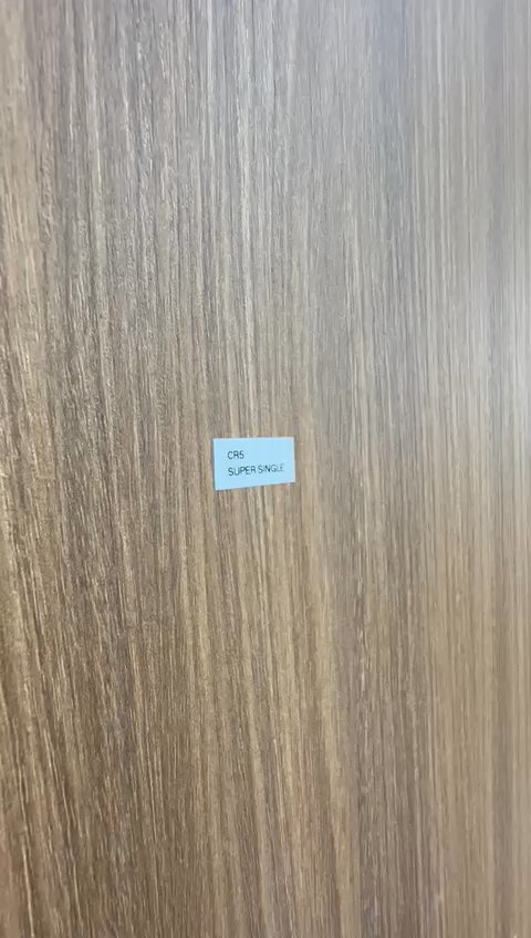 undefined of 100 sqft (room) Condo for Rent in The Lakefront Residences - Project Photos 12