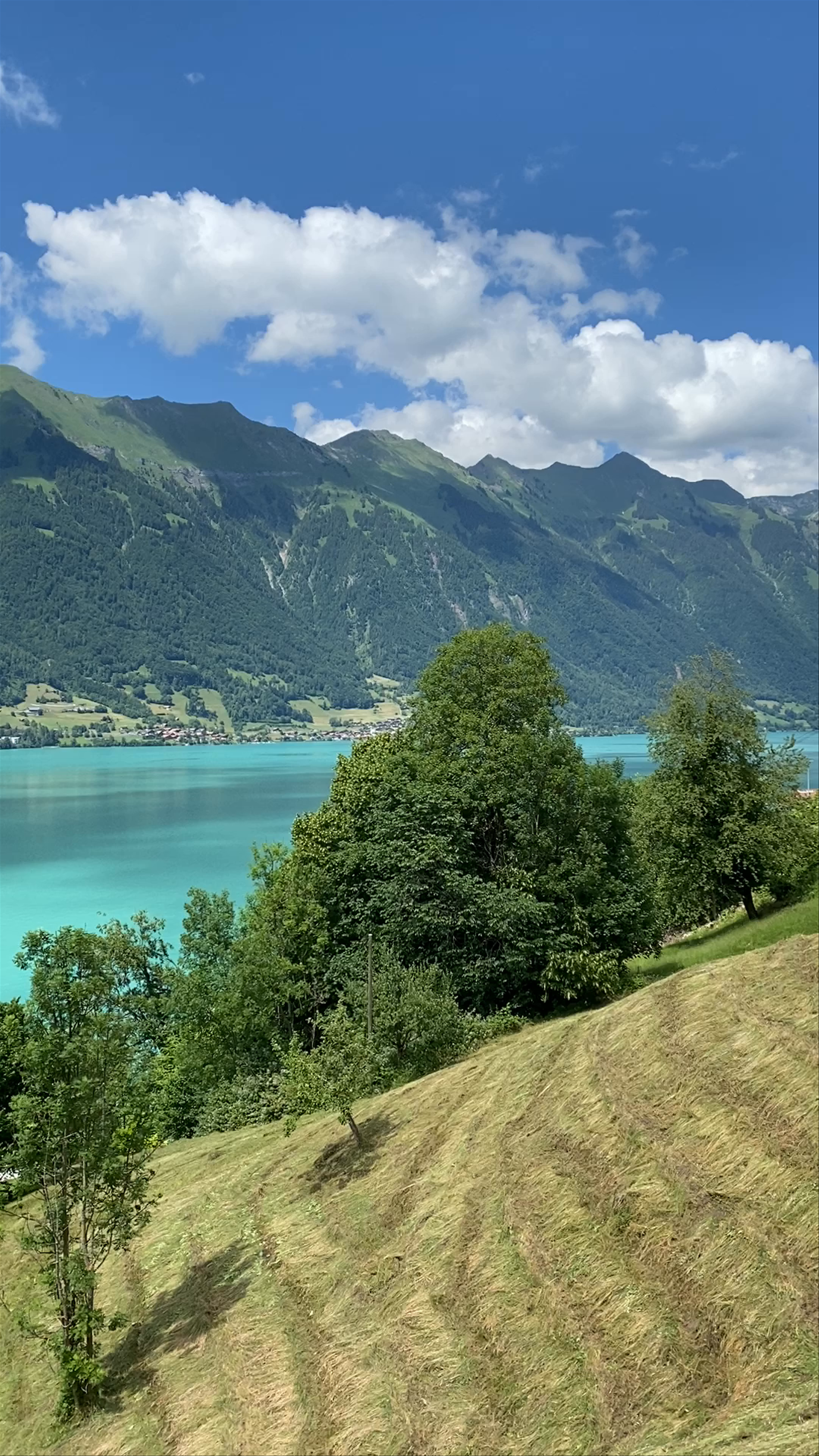 Stunning Brienzersee Lake Views in Switzerland