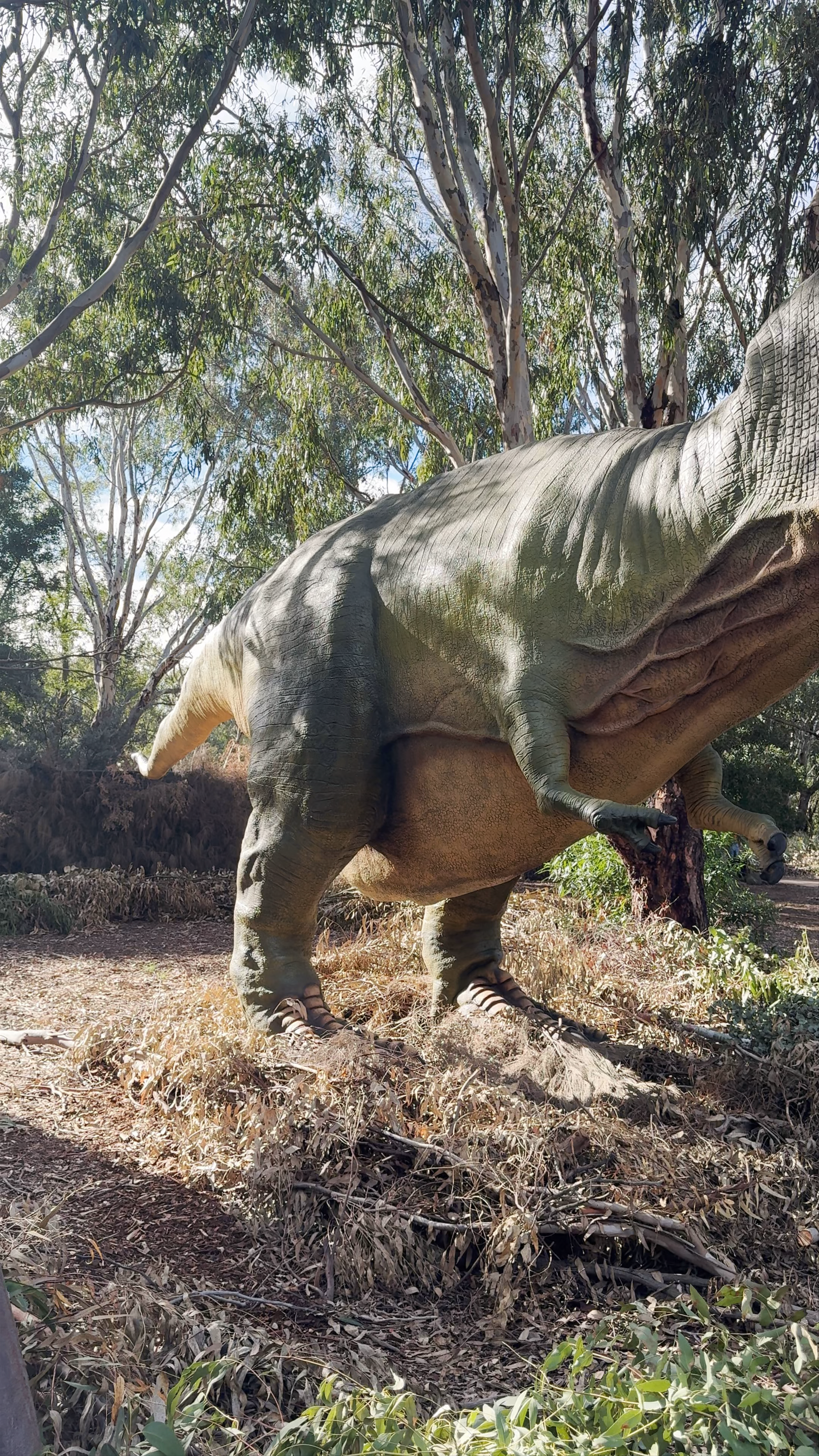 Flat Rocks Dinosaur Dreaming Fossil Site – Encounter Giant Prehistoric Giants
