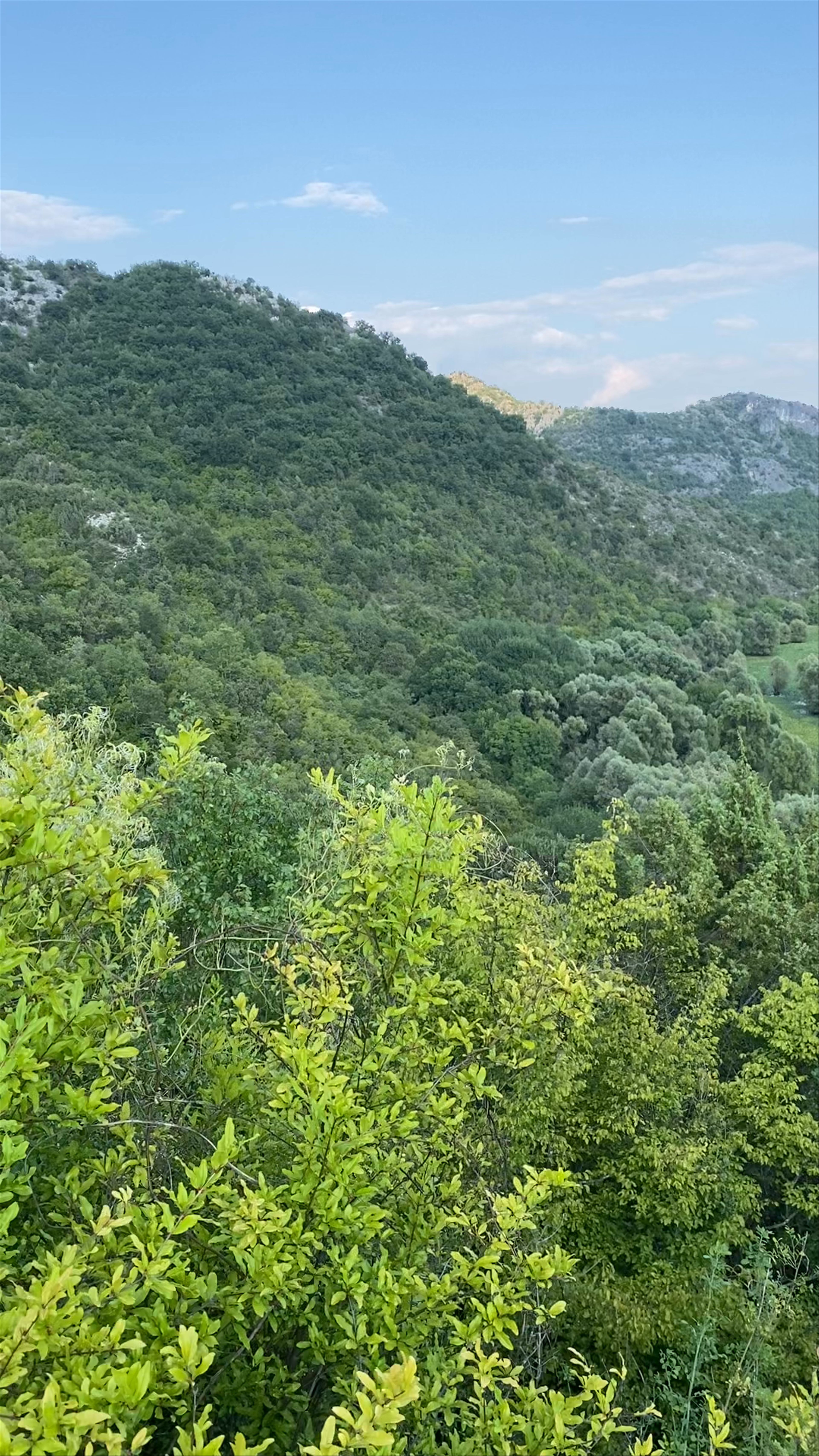 Pavlova Strana Viewpoint