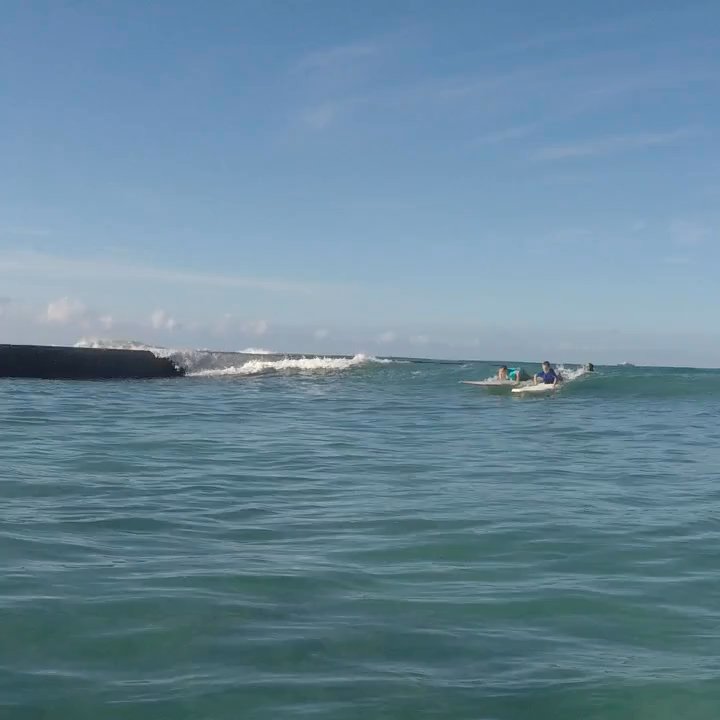Alysha Surf School - My boys 7 and 9 during their first surf lesson ever!  Al, Shelby and Pui were awesome!! - Surfing Near Me - Honolulu, Hawaii