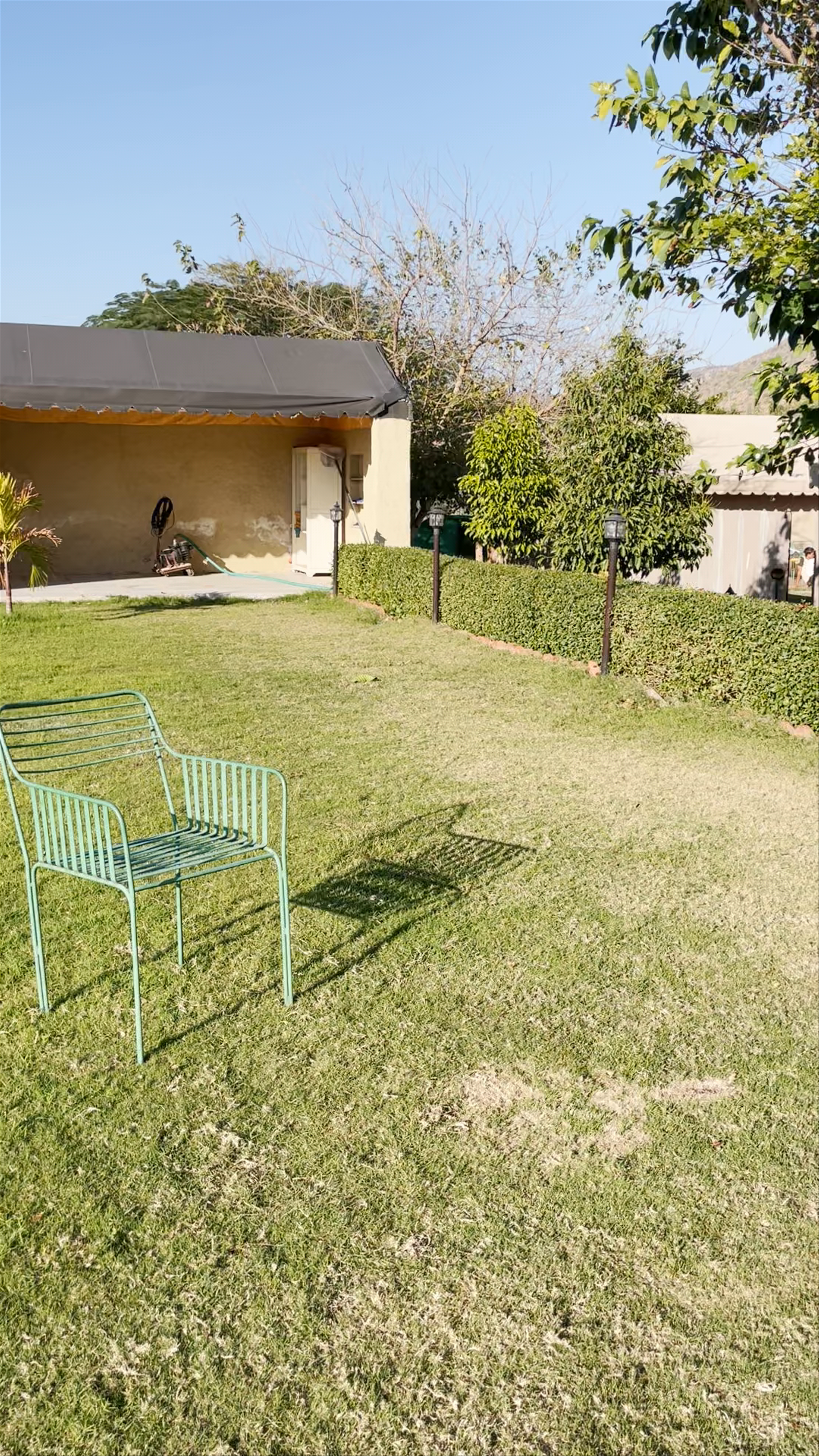 Sterling ReWild Sariska