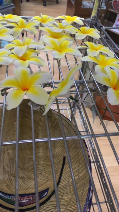 Leilanis Attic - 2025 - Gift Shops Near Me - Las Vegas, Nevada