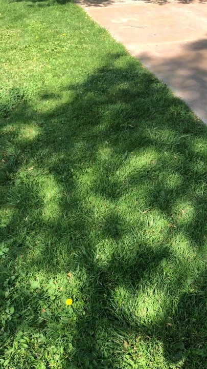 Riverwalk Park - Parks Near Me - Grants, New Mexico