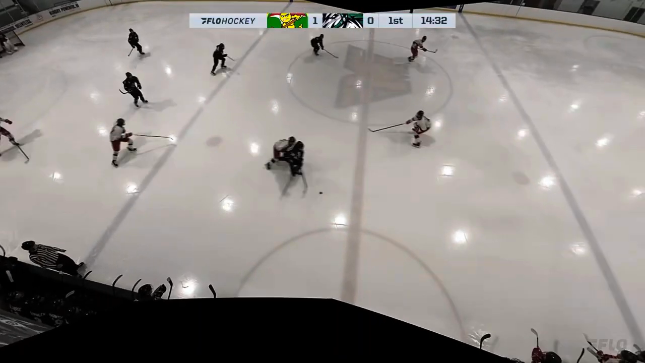 Matthew McCormack | 2024- 2025  Regular Season Highlights | Connecticut Roughriders